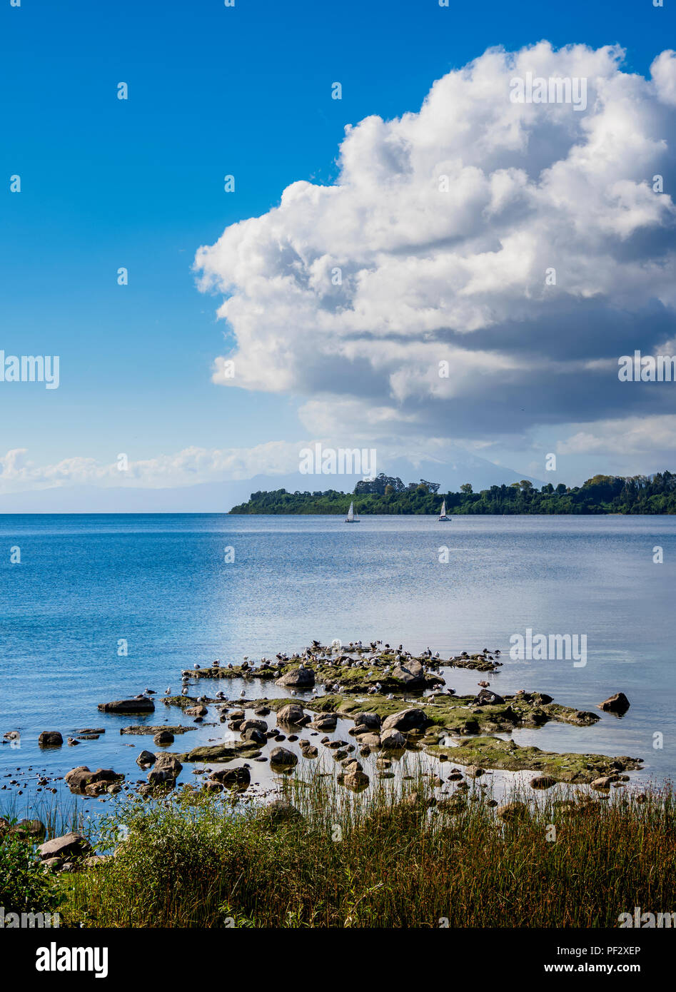 Lago Llanquihue, Puerto Varas, Llanquihue Provincia, Los Lagos Regione, Cile Foto Stock