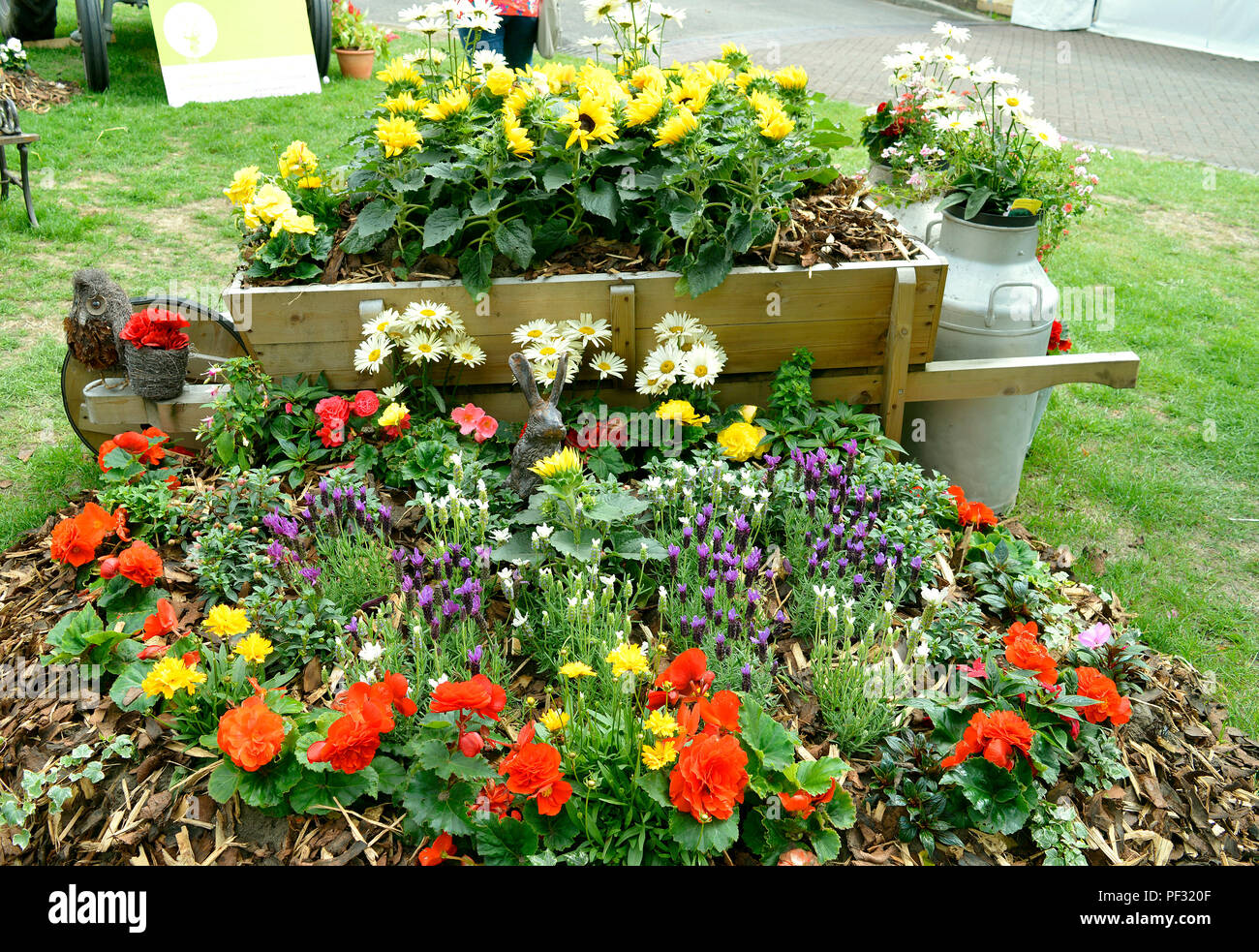 Fiori visualizzato con un theam di fattoria Foto Stock