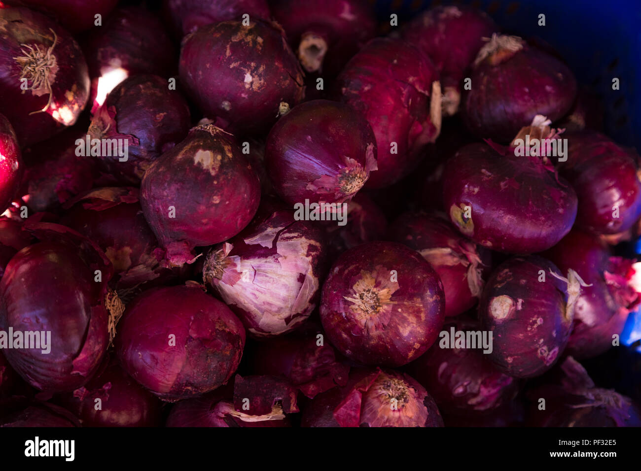 La cipolla rossa in un supermercato organico Foto Stock