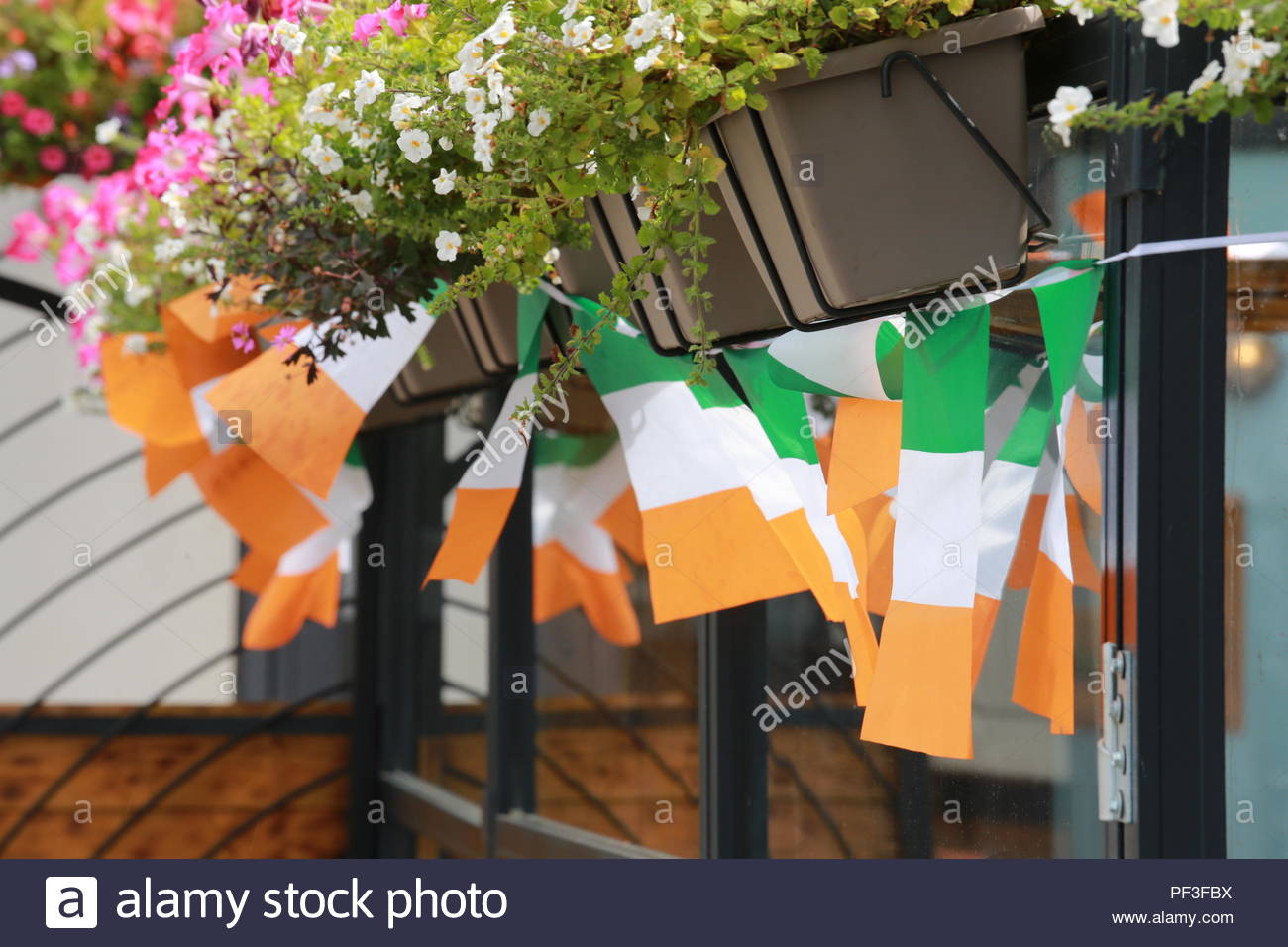 Tricolore irlandese bunting appesi da fioriere nella città di Drogheda Foto Stock