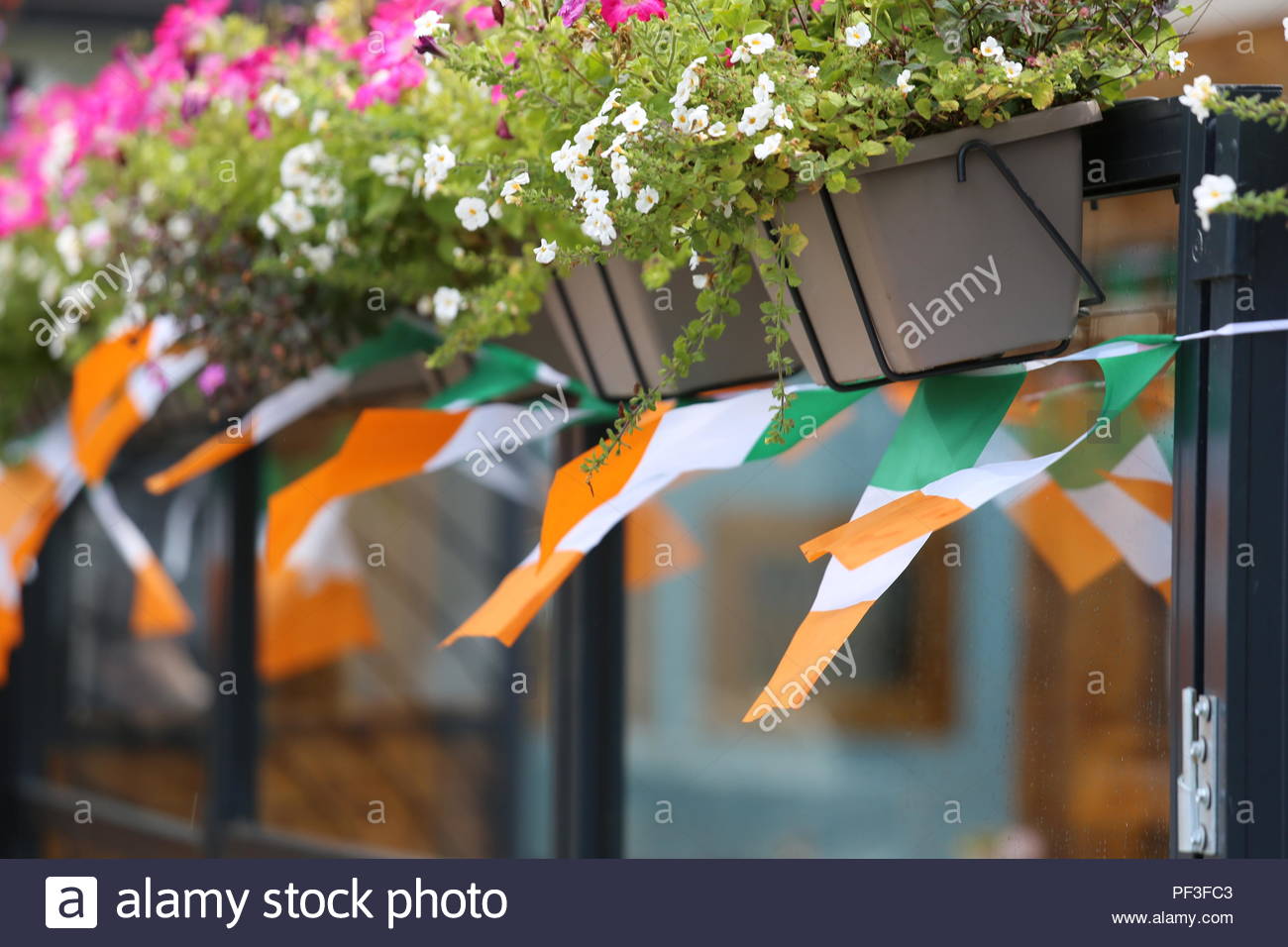 Tricolore irlandese bunting appesi da fioriere nella città di Drogheda Foto Stock