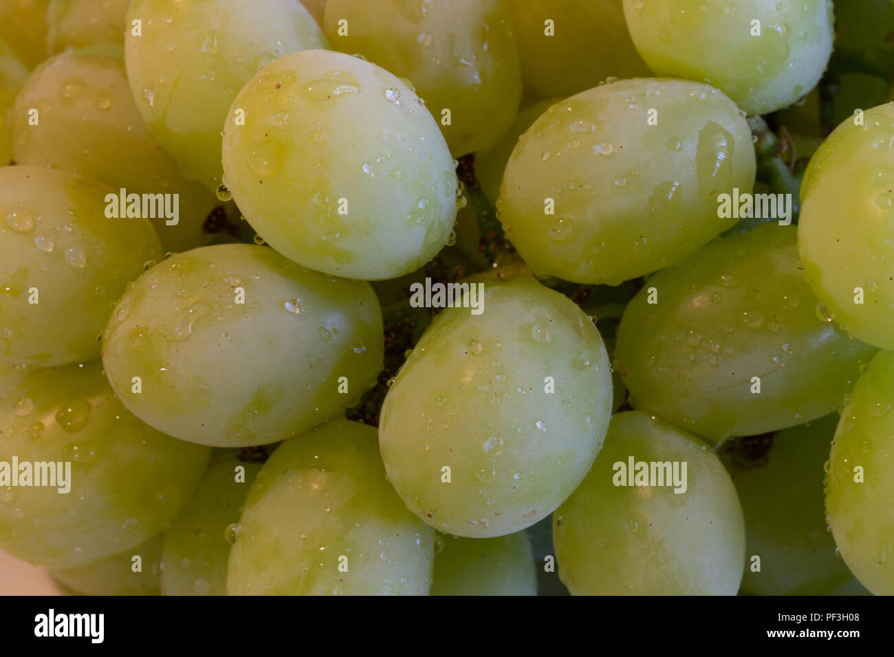 Uva verde close up con gocce di acqua su di essi Foto Stock
