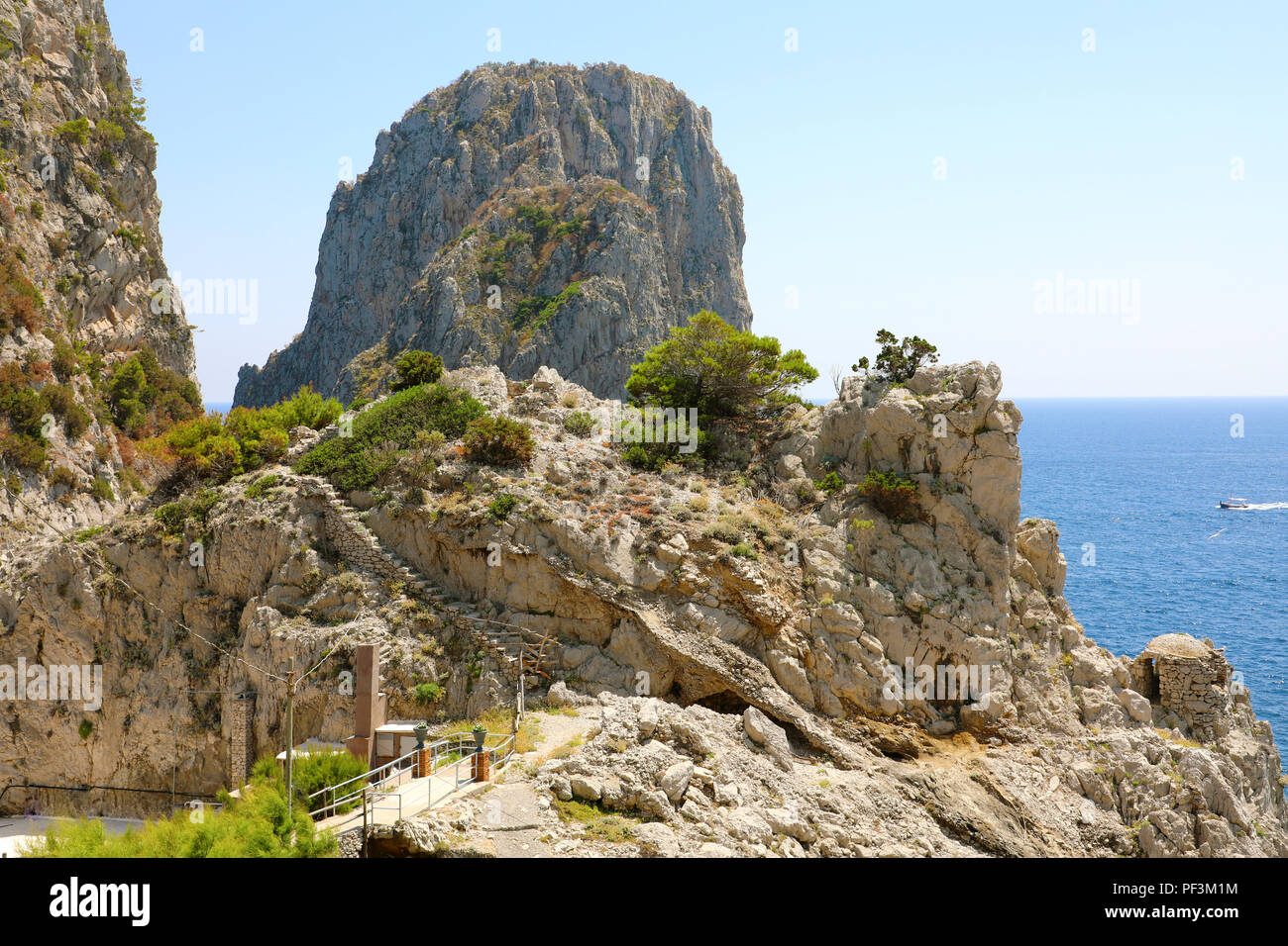 Faraglioni di Capri vista tra i rami degli alberi, Isola di Capri, Italia Foto Stock