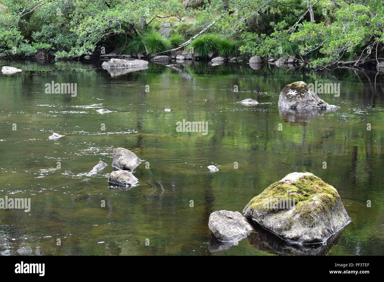 River a Rogie Falls, A835, a Strathpeffer, Scozia Foto Stock