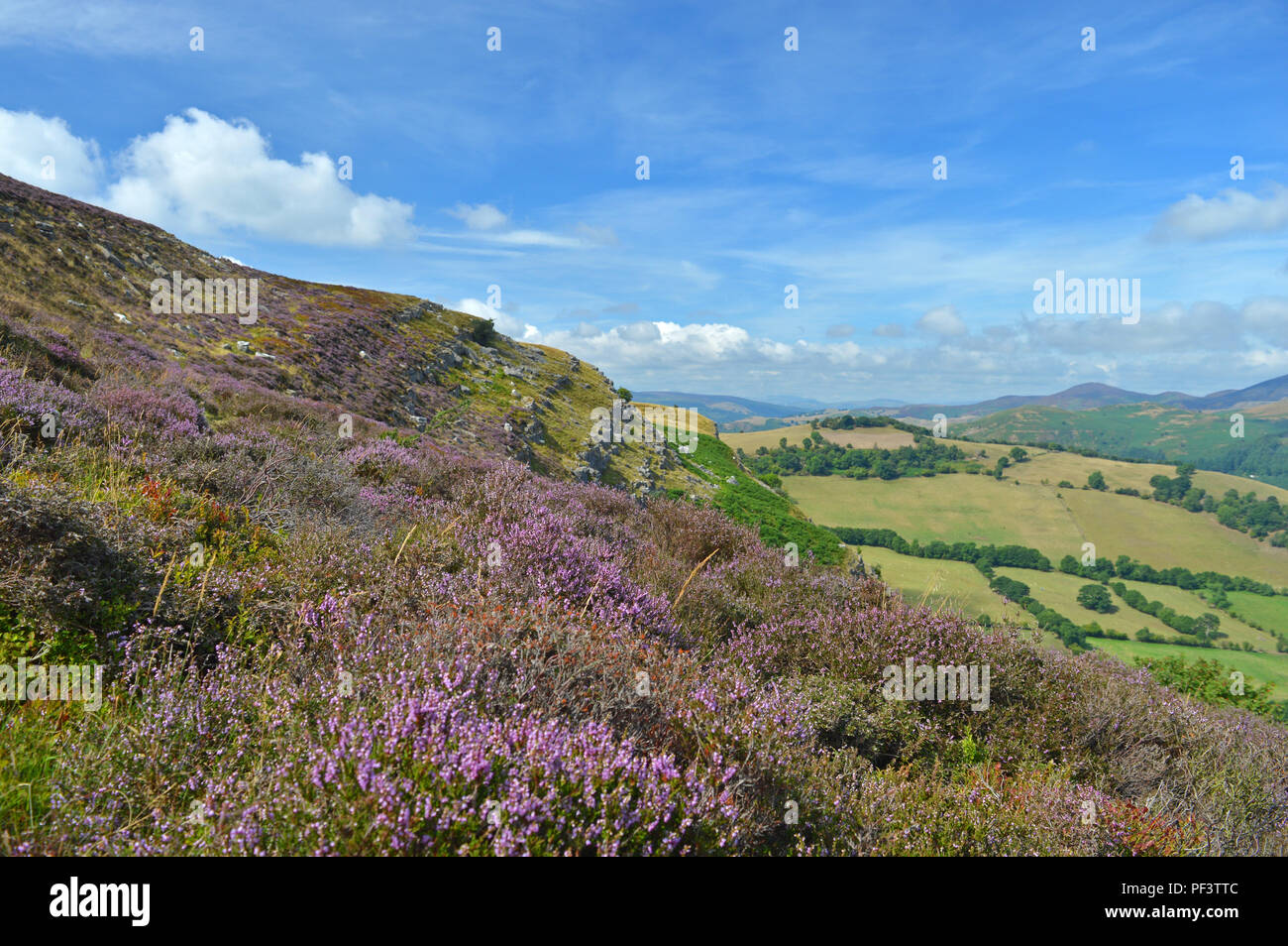 Montagna Eglwyseg Llangollen Foto Stock