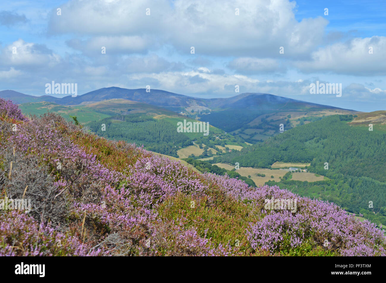 Montagna Eglwyseg Llangollen Foto Stock