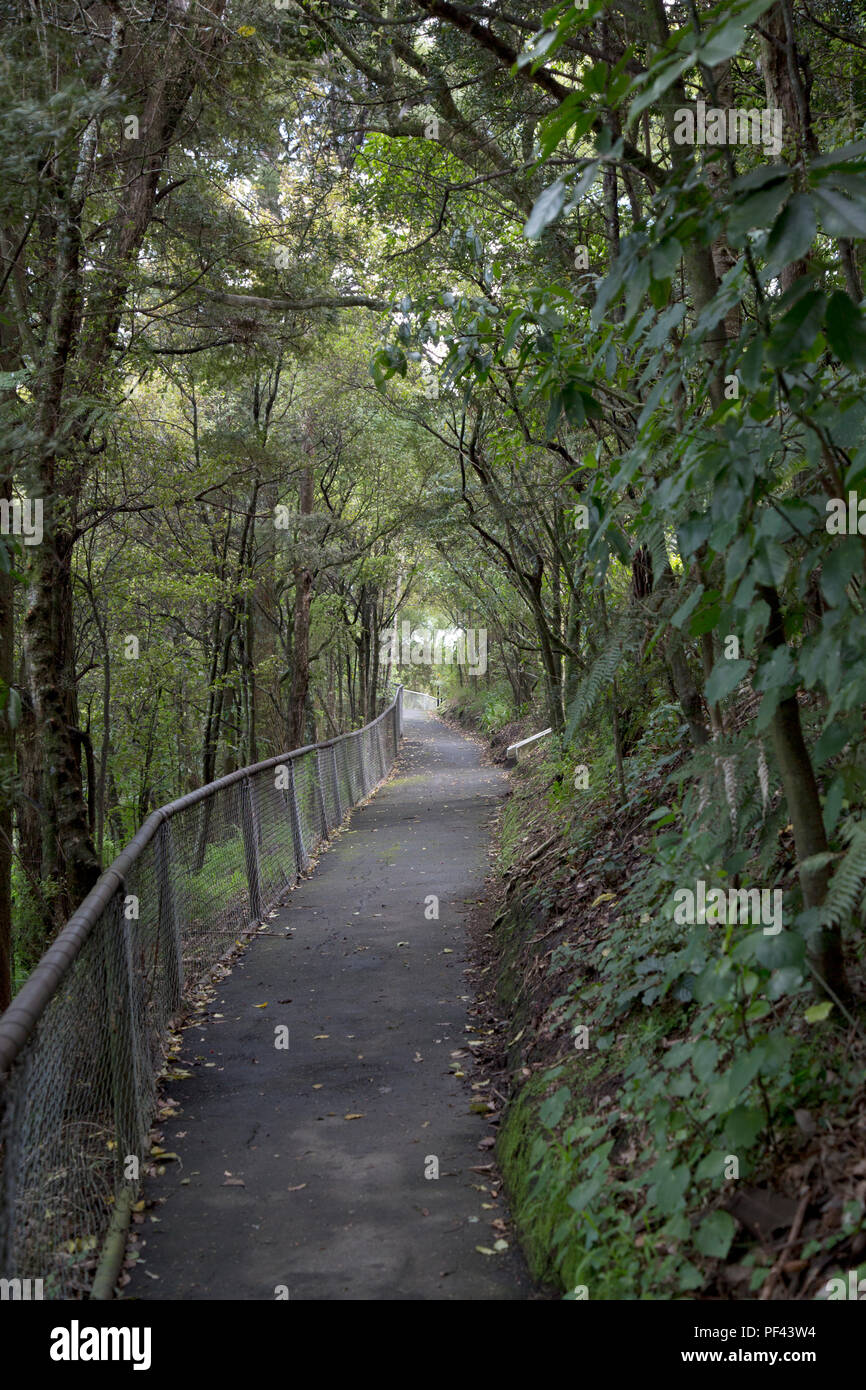 Soldato' Memorial a piedi, Titirangi Foto Stock