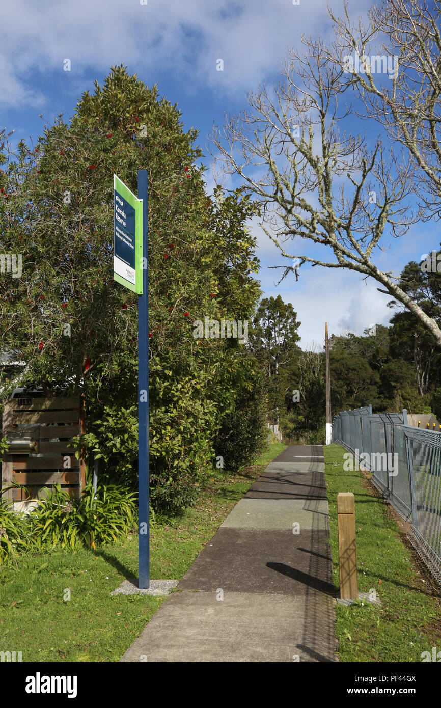 Riserva Kawaka, Titirangi Foto Stock