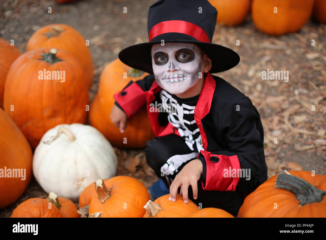 Dolcetto o scherzetto. Ragazzo in un costume di Halloween di scheletro con hat e smocking tra zucche arancione Foto Stock