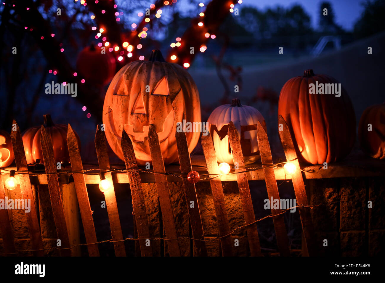 Smiley zucche di Halloween jack-o-lantern in un oscuro di spooky notte di Halloween Foto Stock