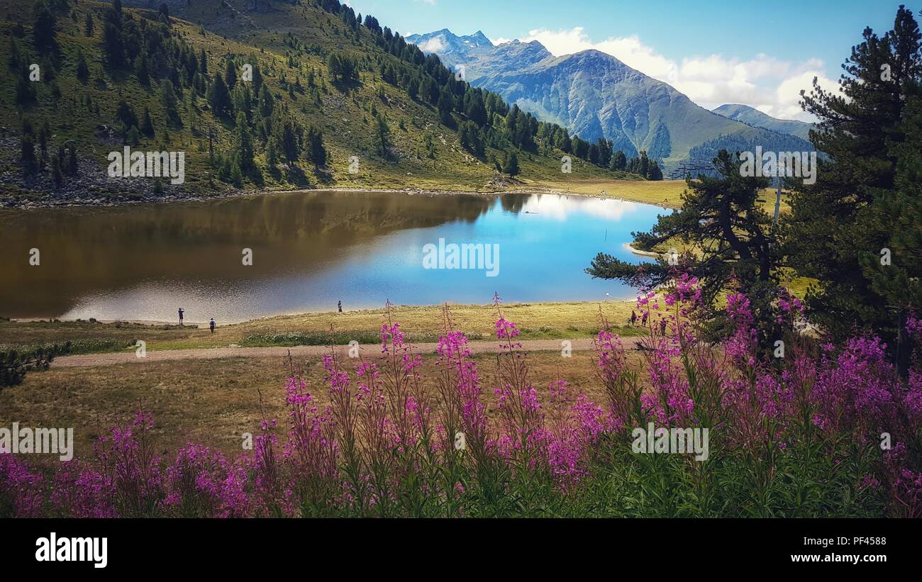 Lago di montagna durante l'estate, Svizzera Foto Stock