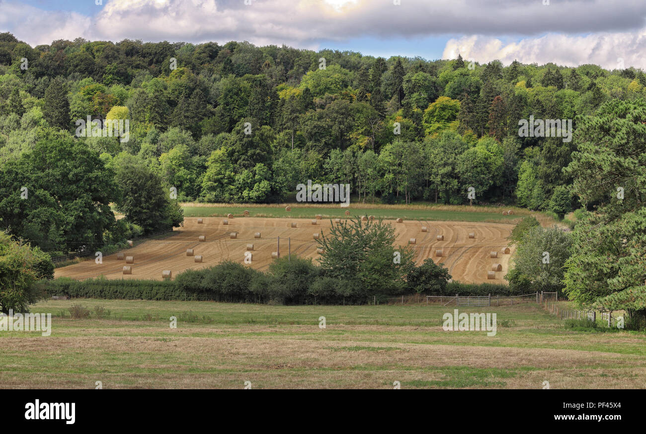 Un inglese un paesaggio rurale nella Chiltern Hills con balle di fieno e boschi Foto Stock