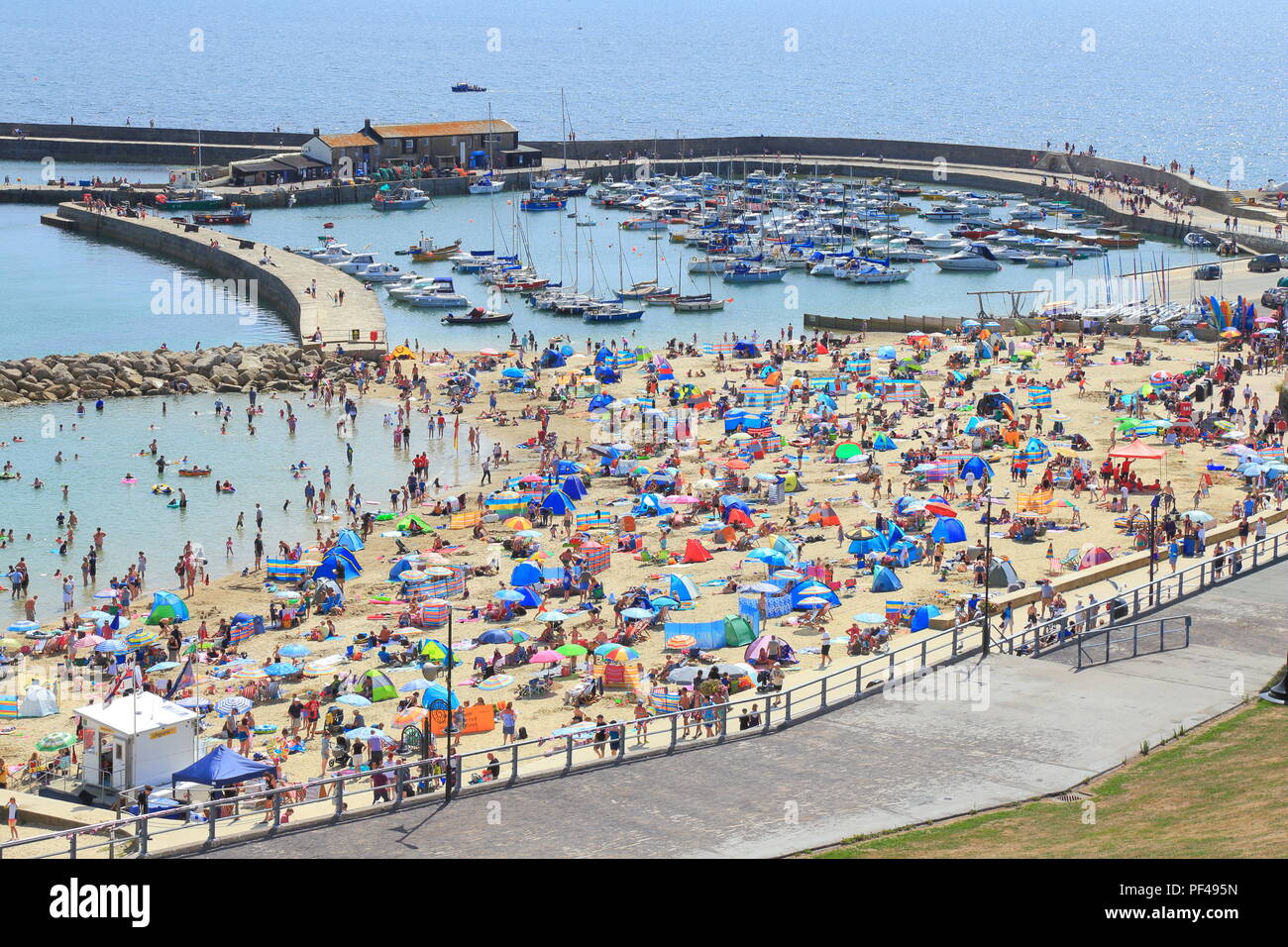 Il Cobb e la spiaggia di sabbia nel villaggio turistico Lyme Regis, Dorset impaccata con lucertole da mare e ombrelloni colorati Foto Stock