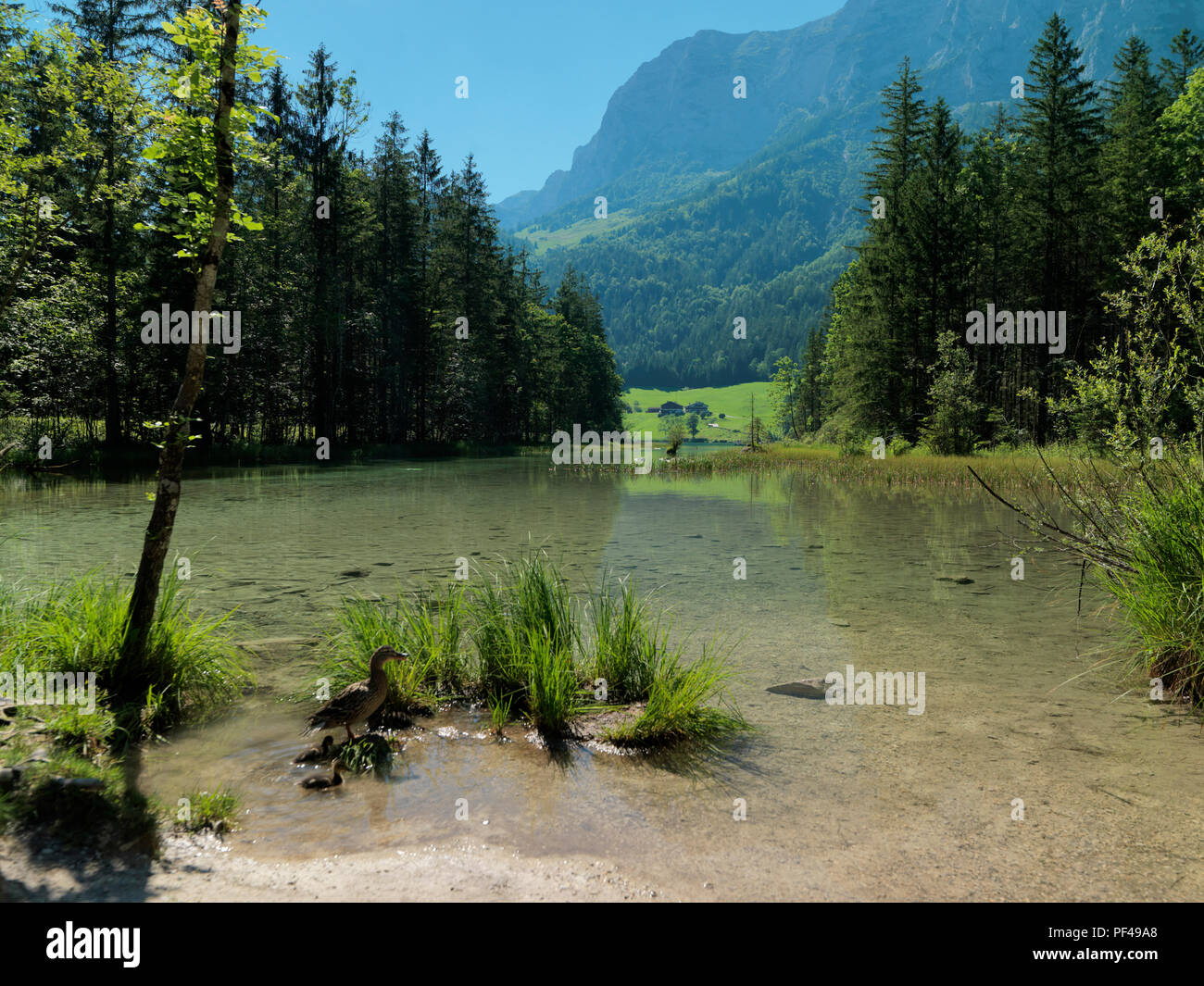 Hintersee, Ramsau, Berchtesgadener Land, Oberbayern, Bayern, Deutschland | Baviera, Germania Foto Stock