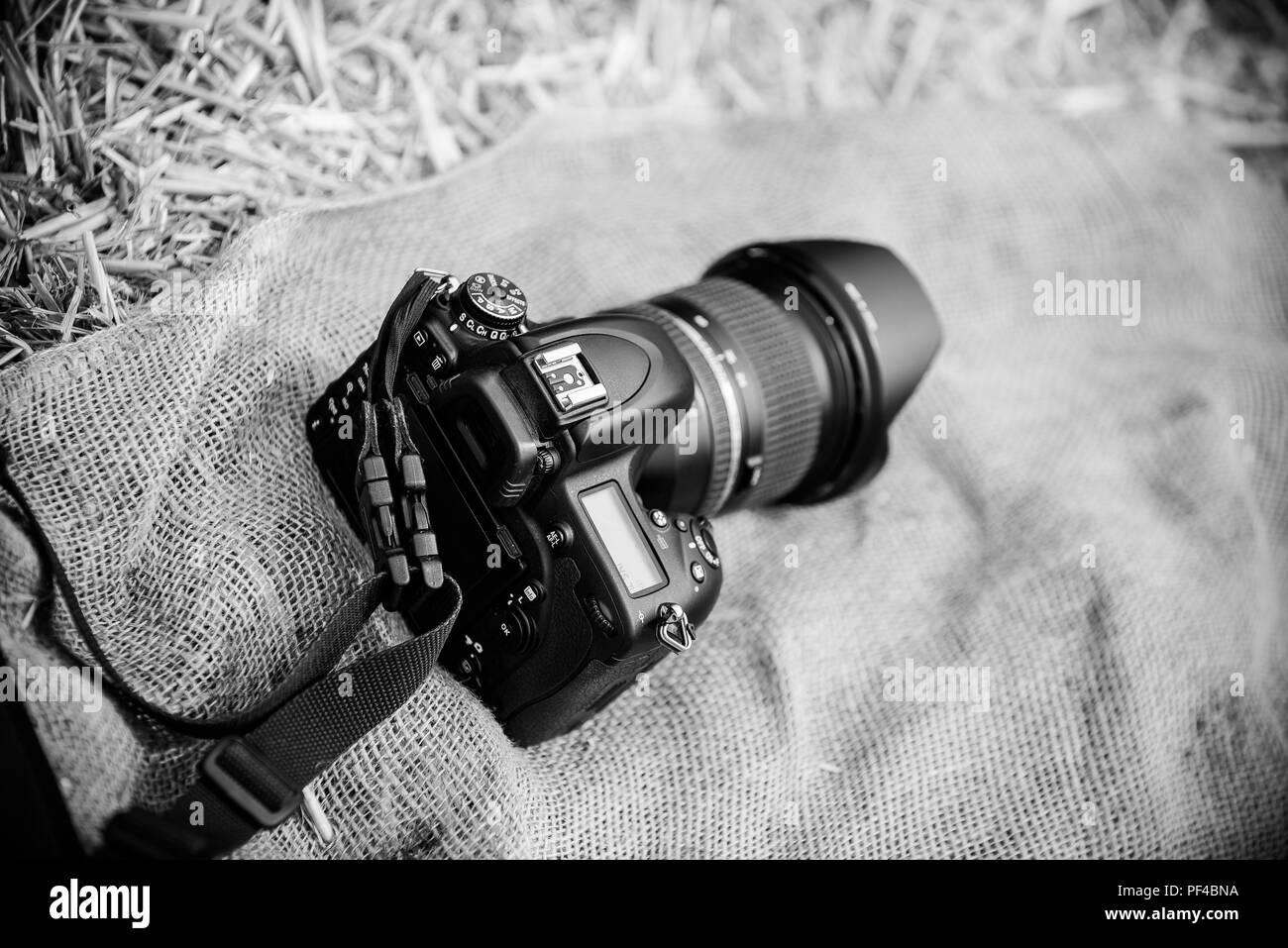 Telecamera di fieno Foto Stock