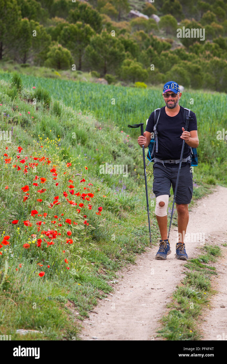 Pellegrino con il ginocchio sanguinato e bandito che cammina lungo la strada del pellegrino spagnolo il Camino de Santiago la via di San Giacomo tra Castrojeriz e Hontanas Spagna Foto Stock