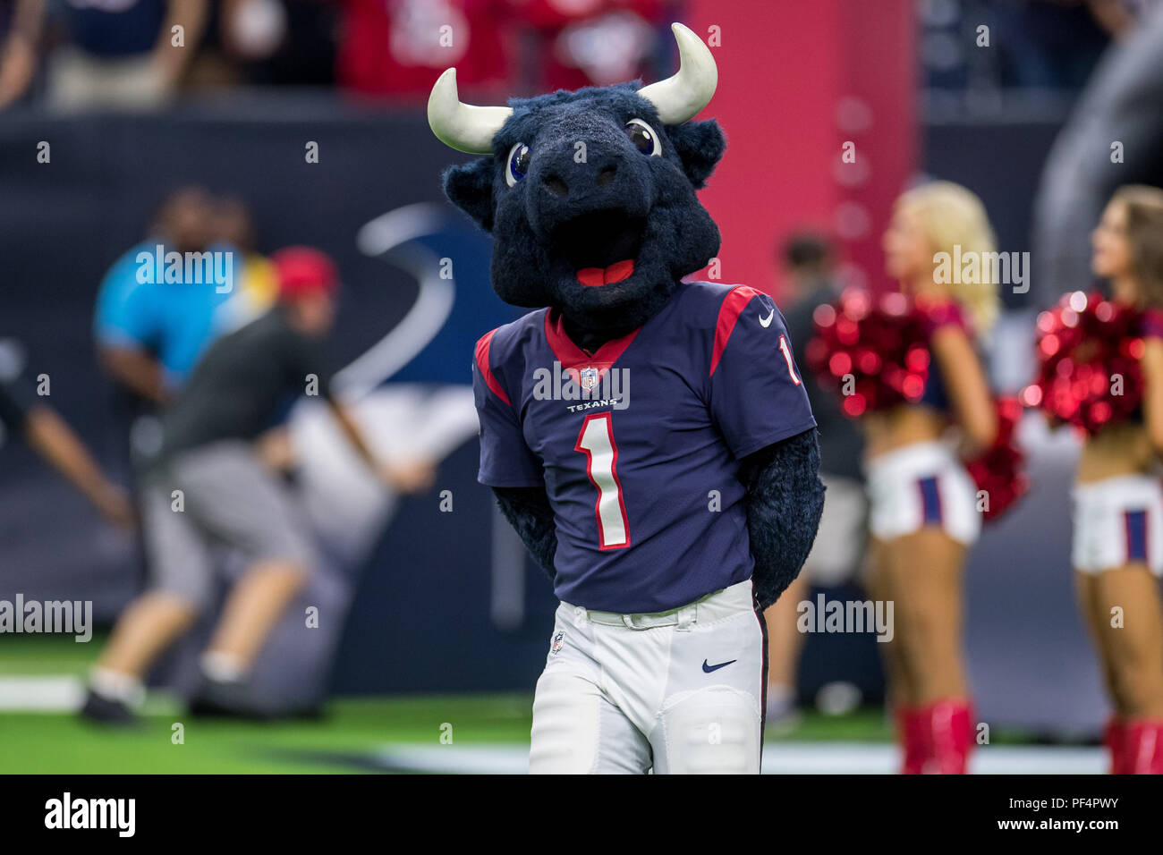 Houston, Stati Uniti d'America. Il 18 agosto 2018. Houston Texans mascotte Toro prima di preseason NFL partita di calcio tra la Houston Texans e San Francisco 49ers a NRG Stadium di Houston, TX. Houston ha vinto il gioco 16 a 13. Trask Smith/CSM Foto Stock
