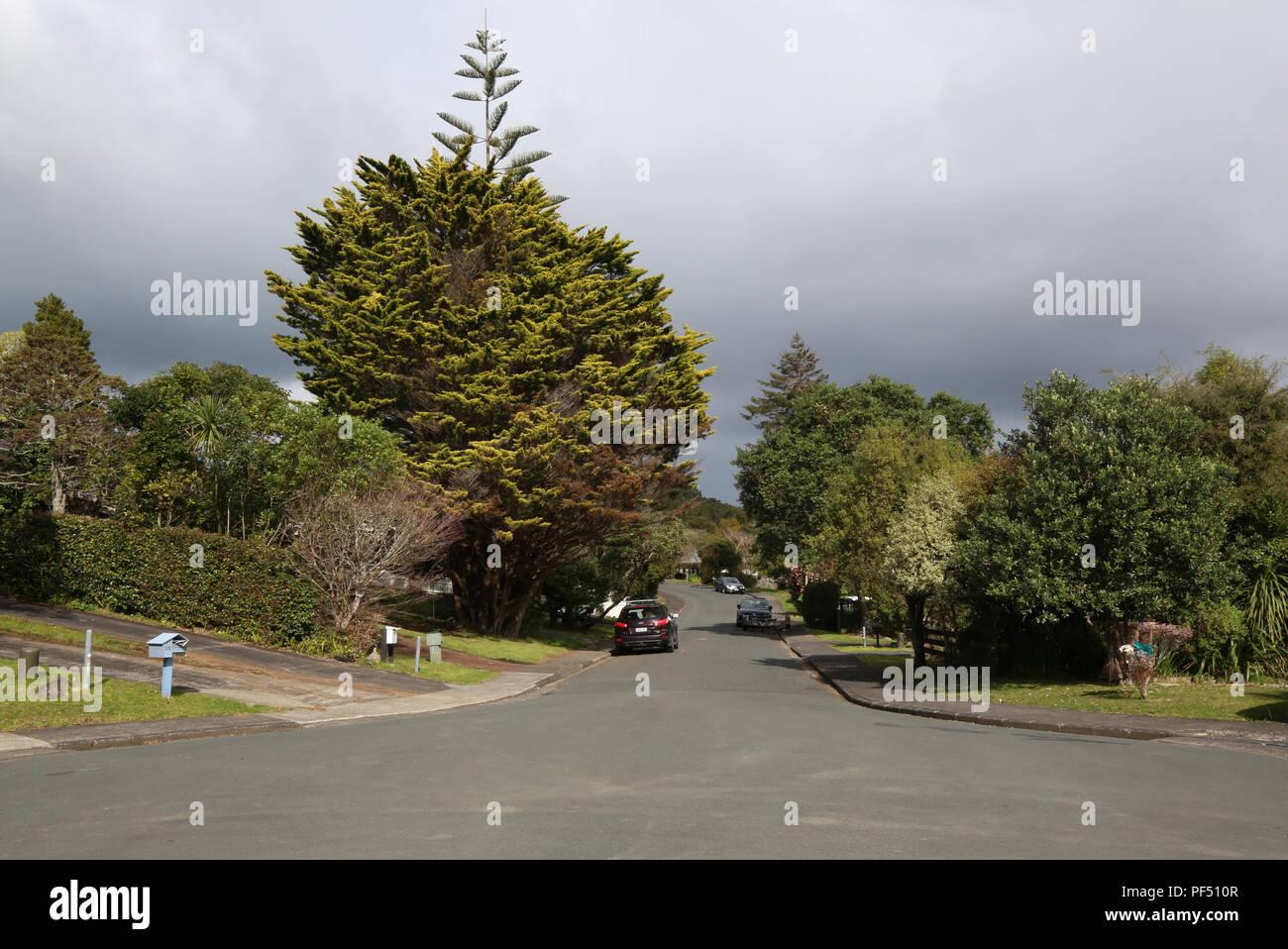Kawaka Street, Titirangi Foto Stock