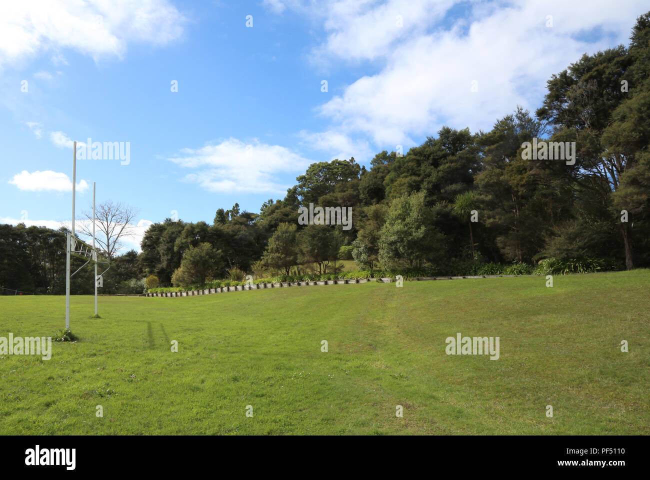 Kawa Glade, Titirangi Foto Stock