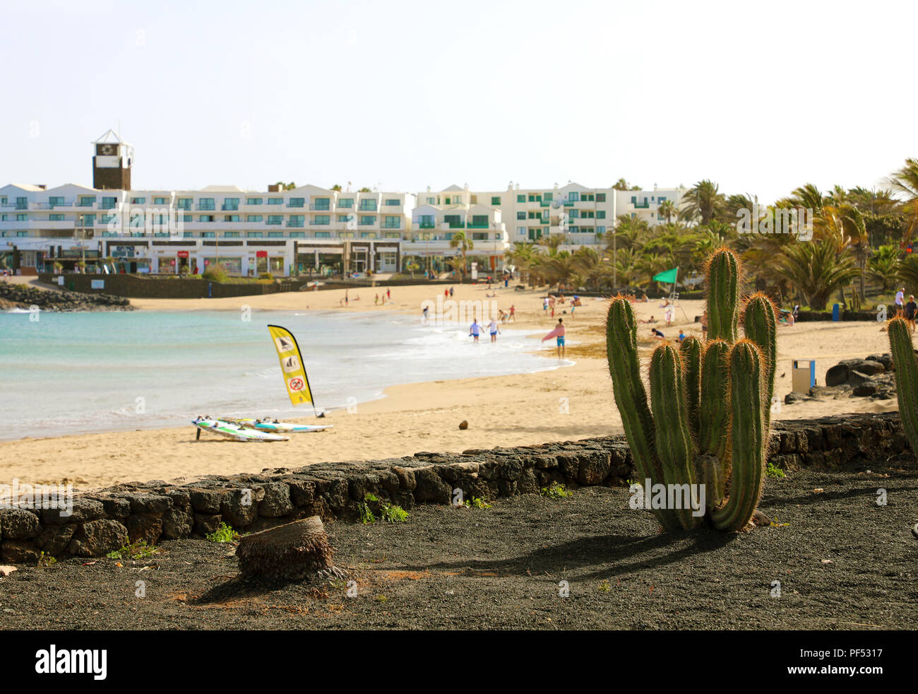Bellissima vista della Playa de Las Cucharas beach con il cactus in nero terra vulcanica, Costa Teguise, Lanzarote Foto Stock
