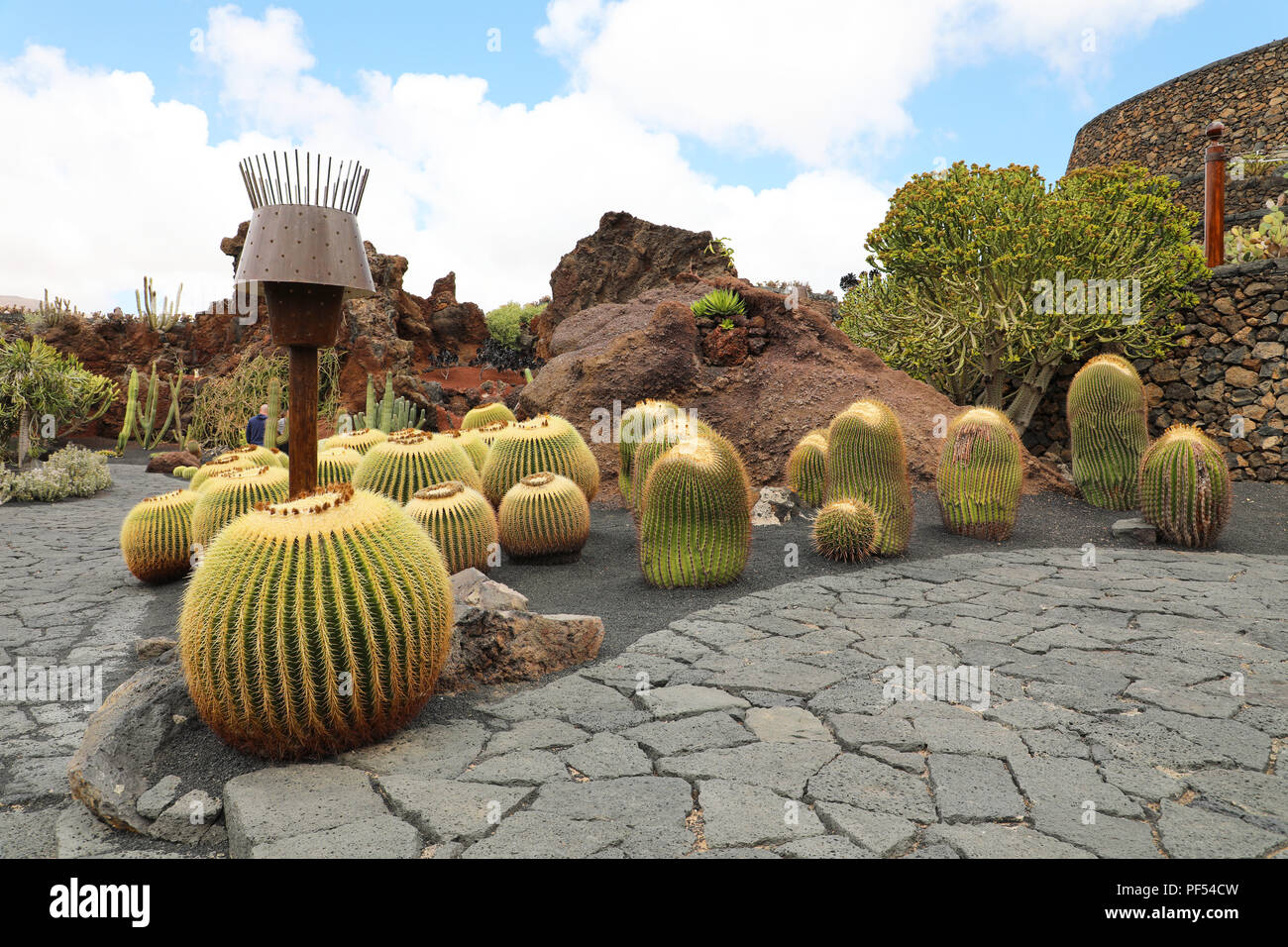 Tropical il giardino dei cactus Jardin de Cactus a Guatiza village,  Lanzarote, Isole Canarie Foto stock - Alamy
