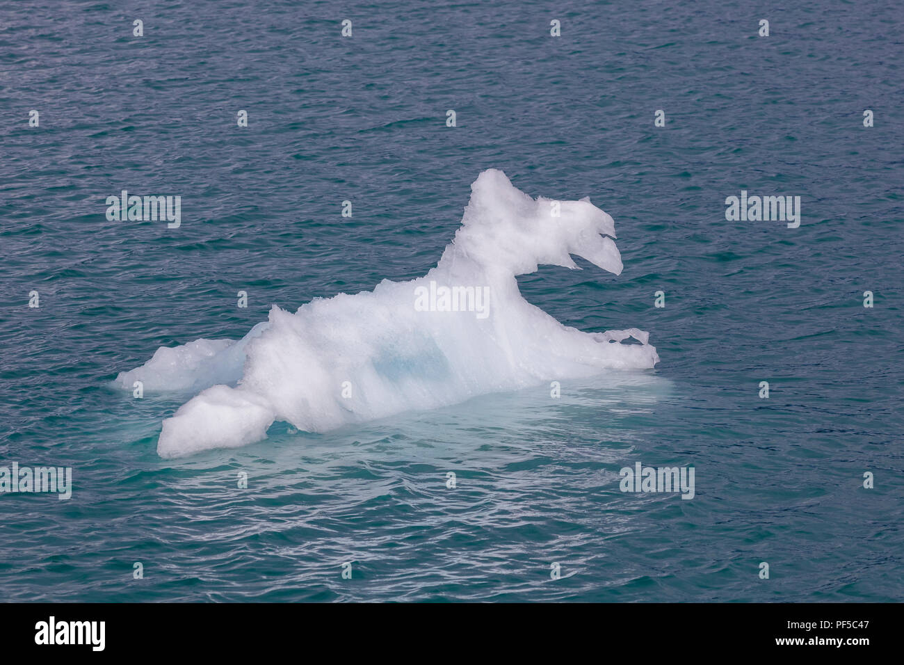 Iceberg dal ghiacciaio Columbia in Prince William Sound su western Alaska's Chugach Mountains vicino a Valdez Alaska Foto Stock