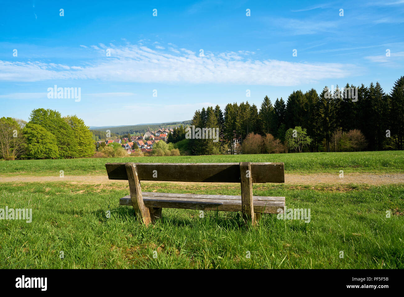 Panca su un sentiero escursionistico a Braunlage nel Parco Nazionale di Harz Foto Stock