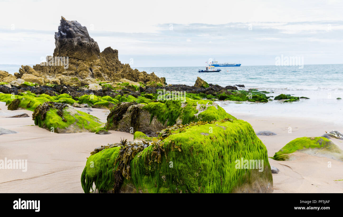 Pembrokeshire costa in Galles, Regno Unito Foto Stock