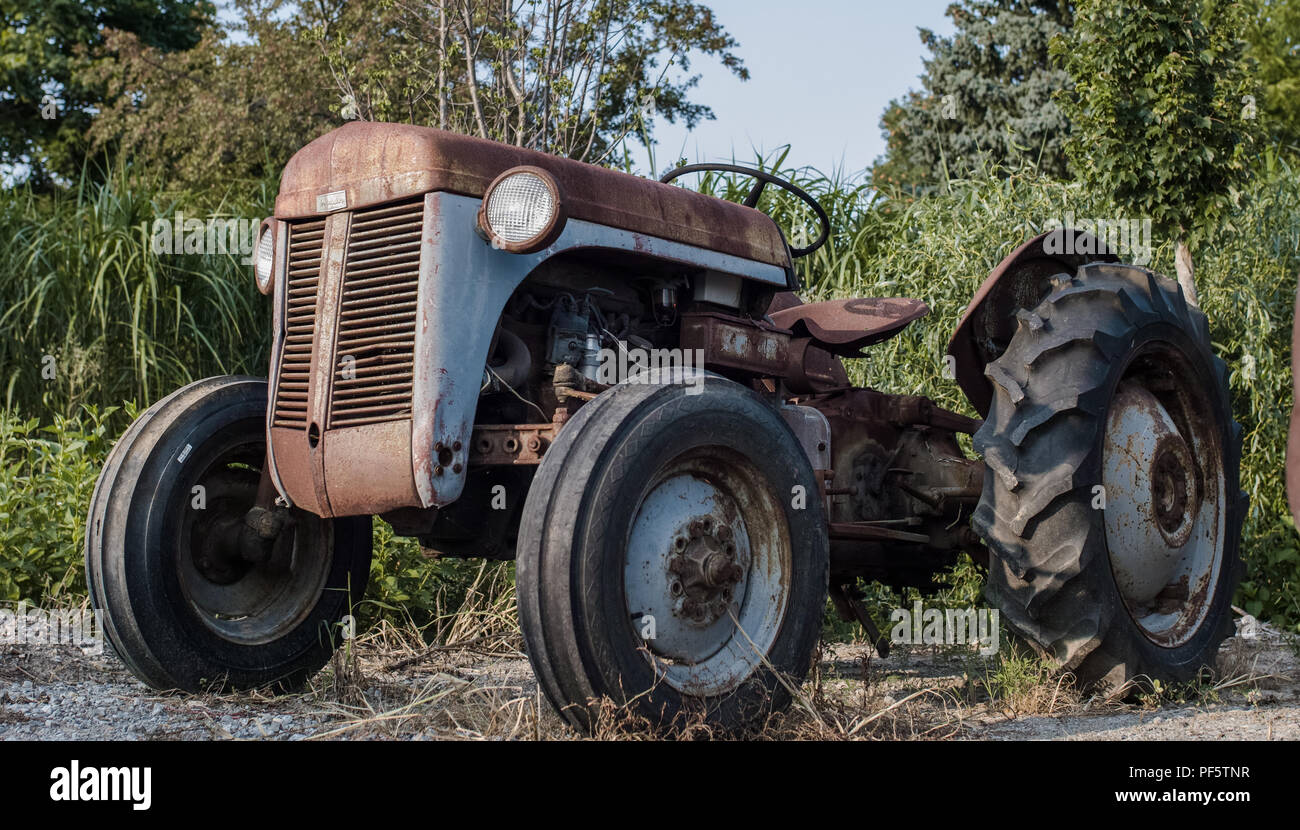 Un annata Ferguson TE20 trattore agricolo a scrapyard. Foto Stock