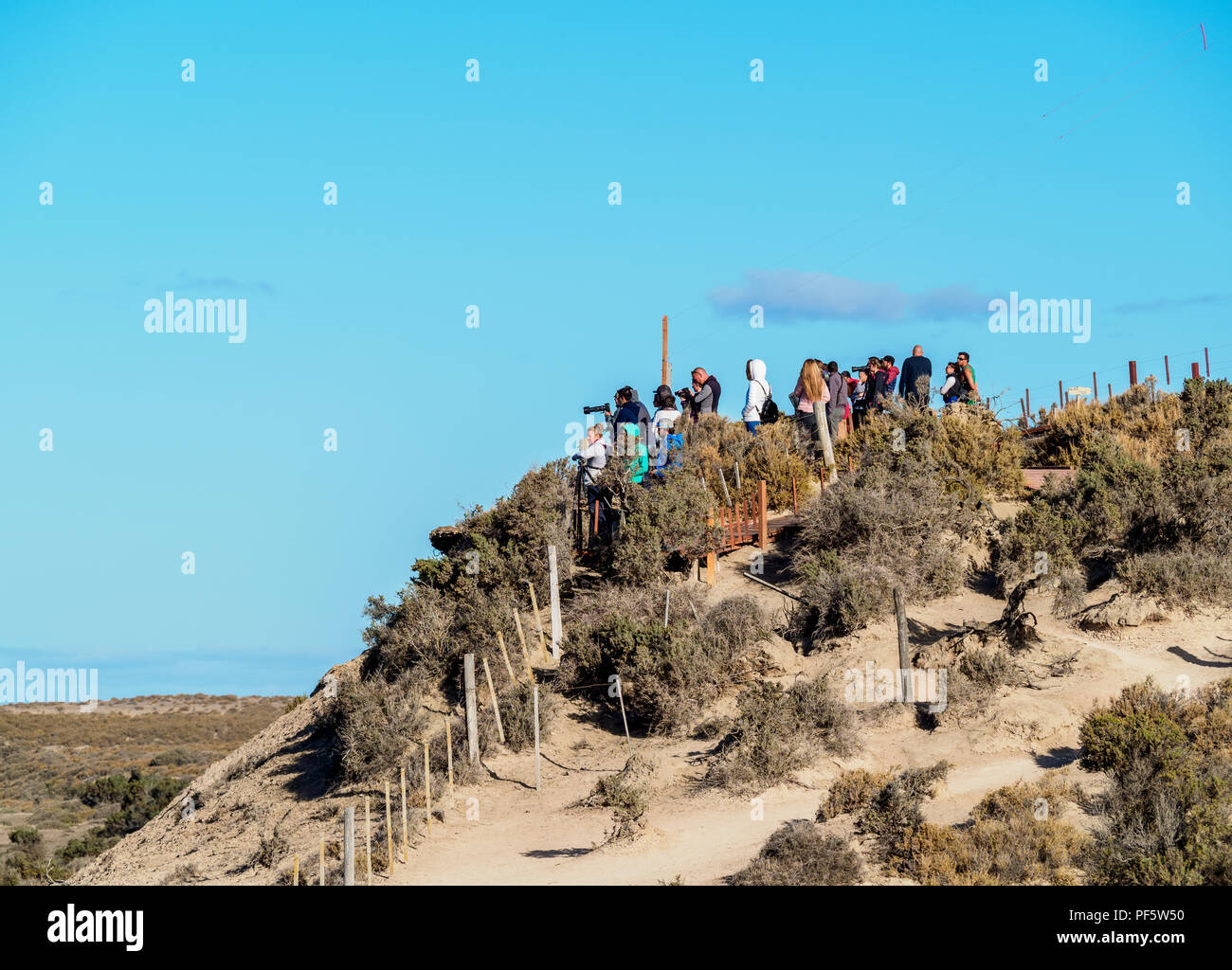 Punta Norte, Penisola di Valdes, Sito Patrimonio Mondiale dell'UNESCO, Chubut Provincia, Patagonia, Argentina Foto Stock