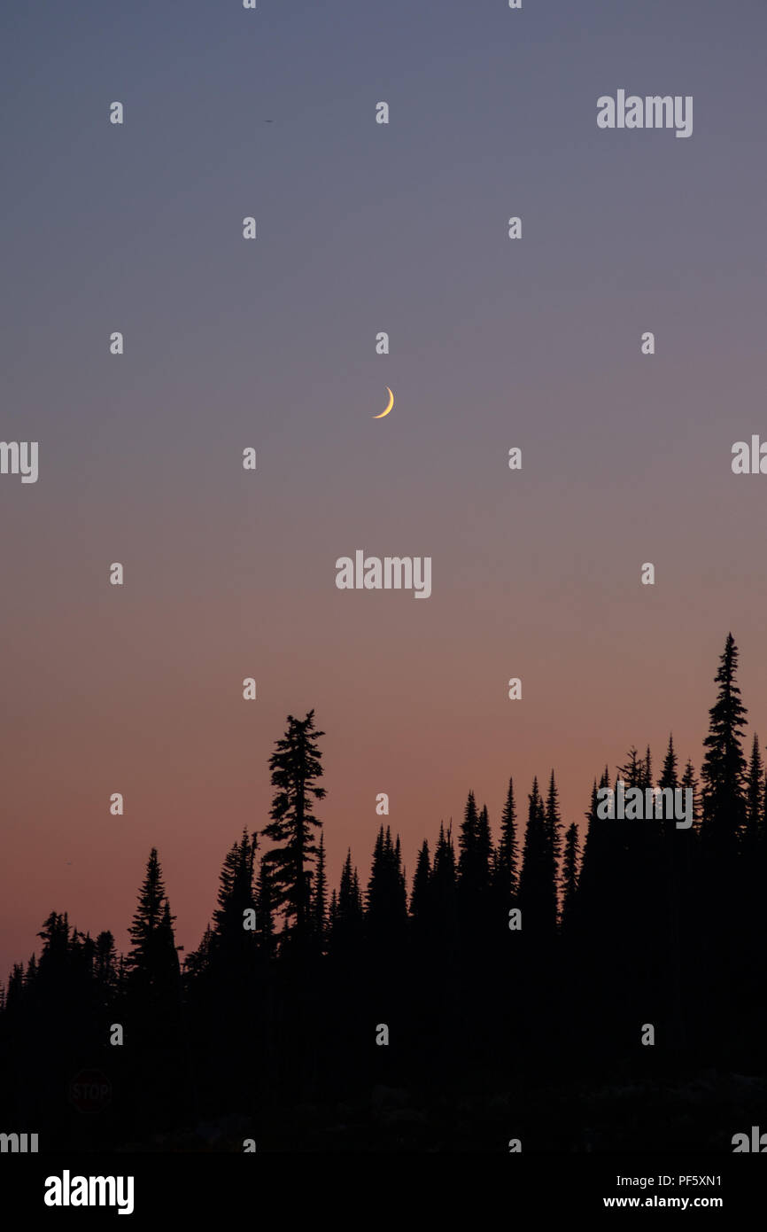 Si tratta di un picturew della luna durante il tramonto in un forrest presso il Parco Nazionale del Monte Rainier, Washington. Foto Stock