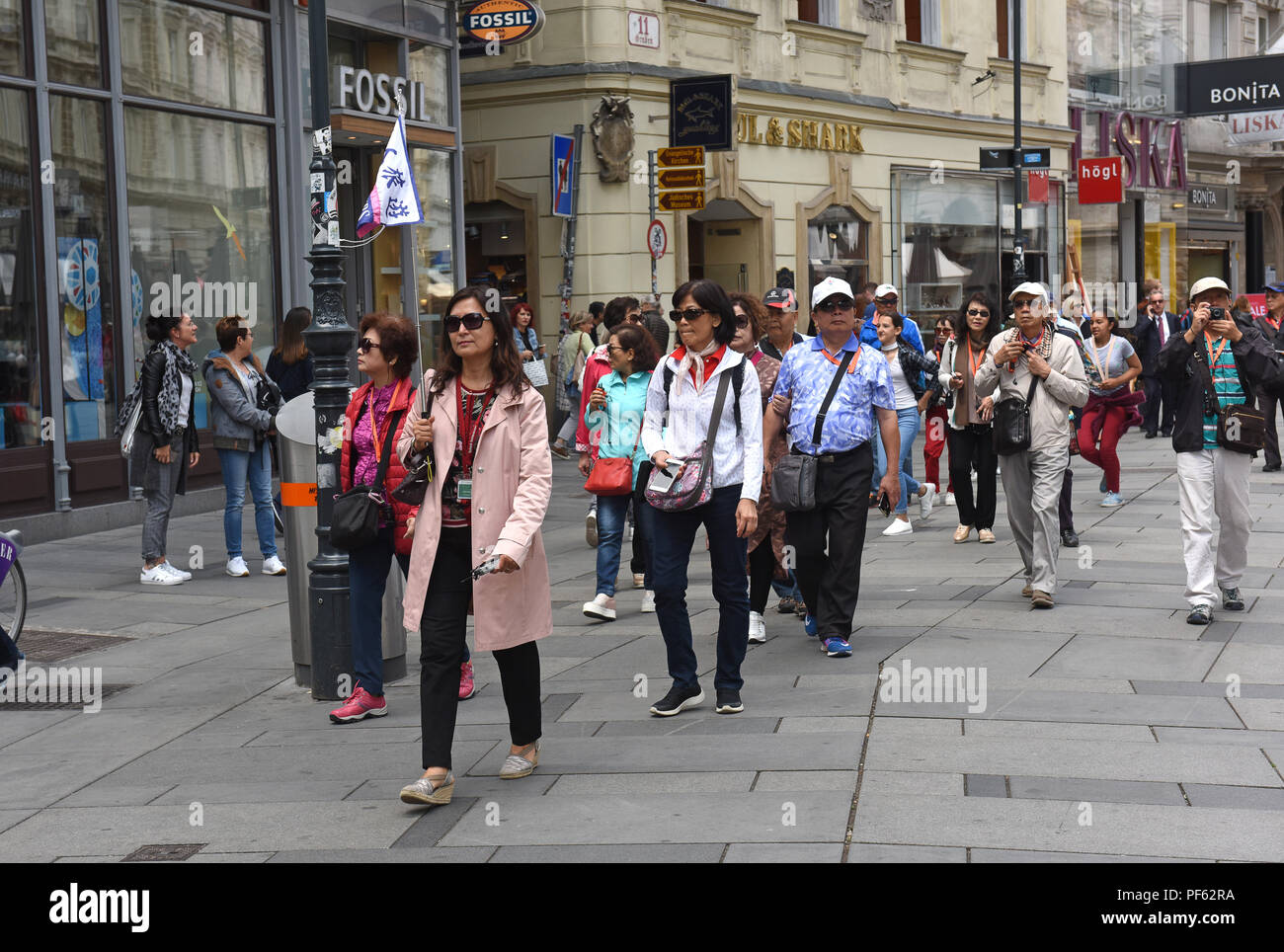 Guida turistica con i turisti a Vienna, in Austria Foto Stock