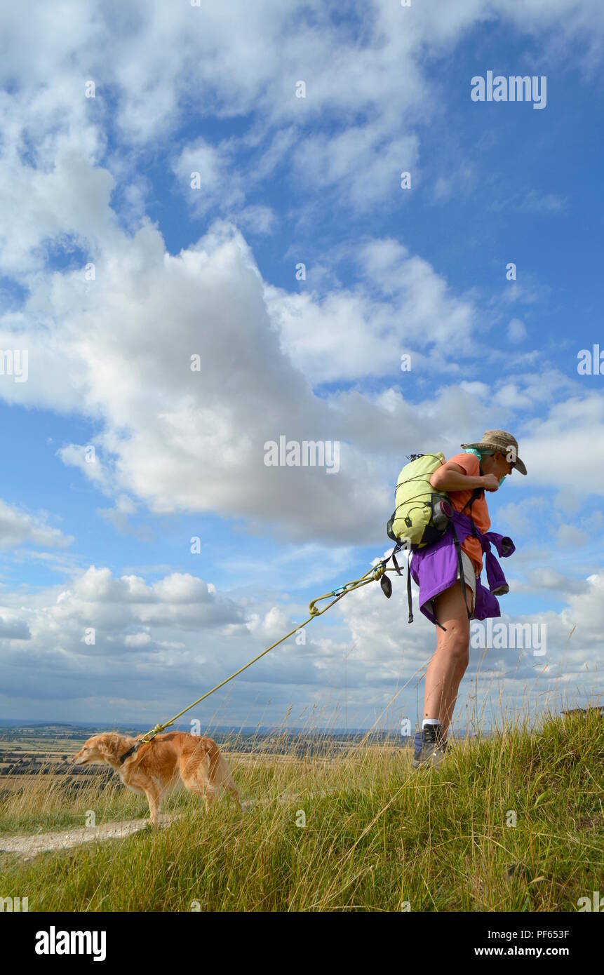 Uffington White Horse Foto Stock