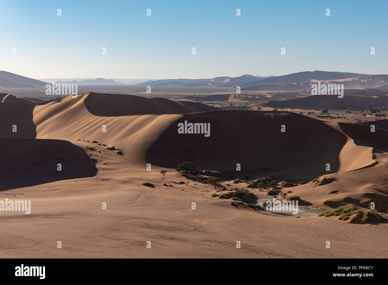 Vista aerea del deserto rosso dune nella luce del mattino al Sossusvlei, Namibia Foto Stock