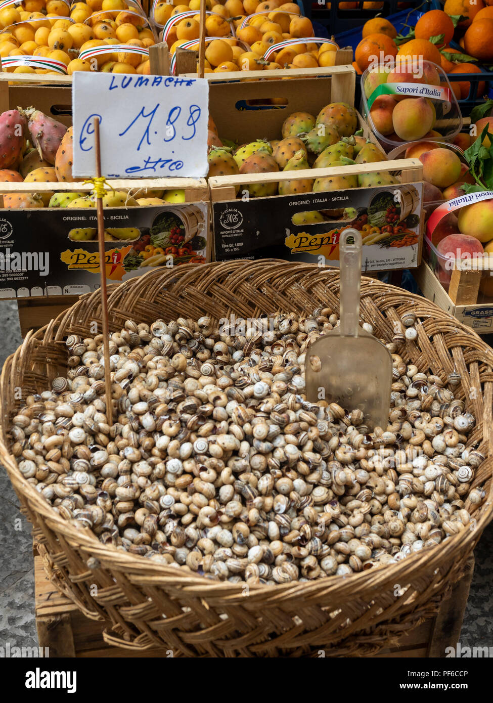 PALERMO, SICILIA, ITALIA - 21 MAGGIO 2018: Lumache commestibili (Lumache) al mercato la Vucciria con etichetta di prezzo Foto Stock