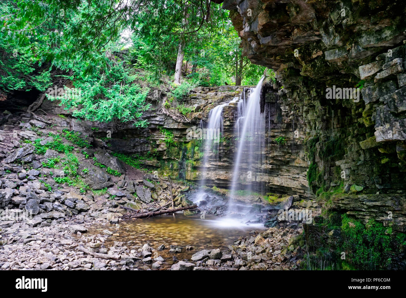 Cascate e il verde muschio coperto shale rock formazione dalla Scarpata del Niagara in conservazione Hilton,Milton, Ontario, Canada Foto Stock