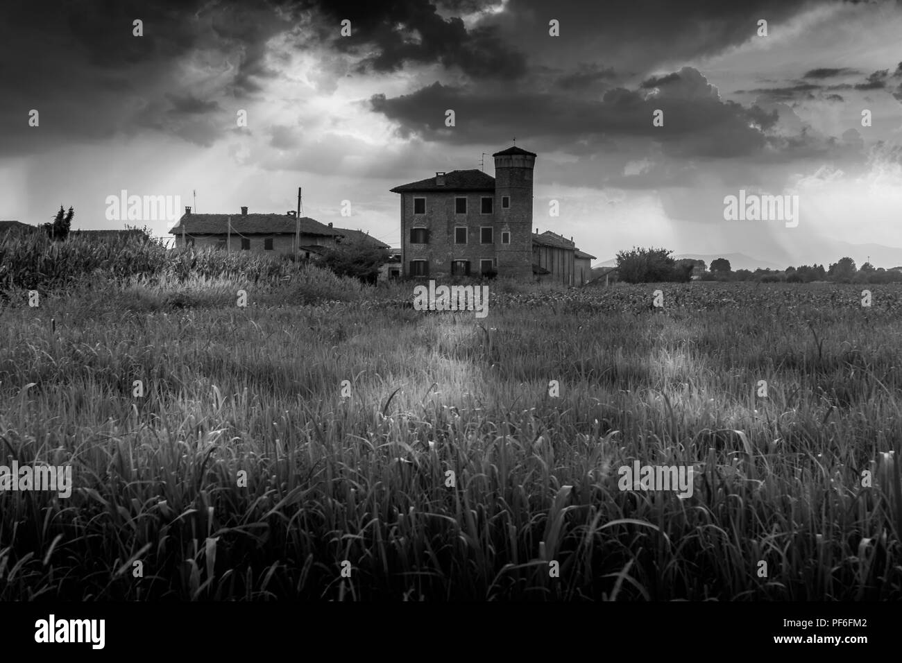 Panorama di campagna in bianco e nero Foto Stock