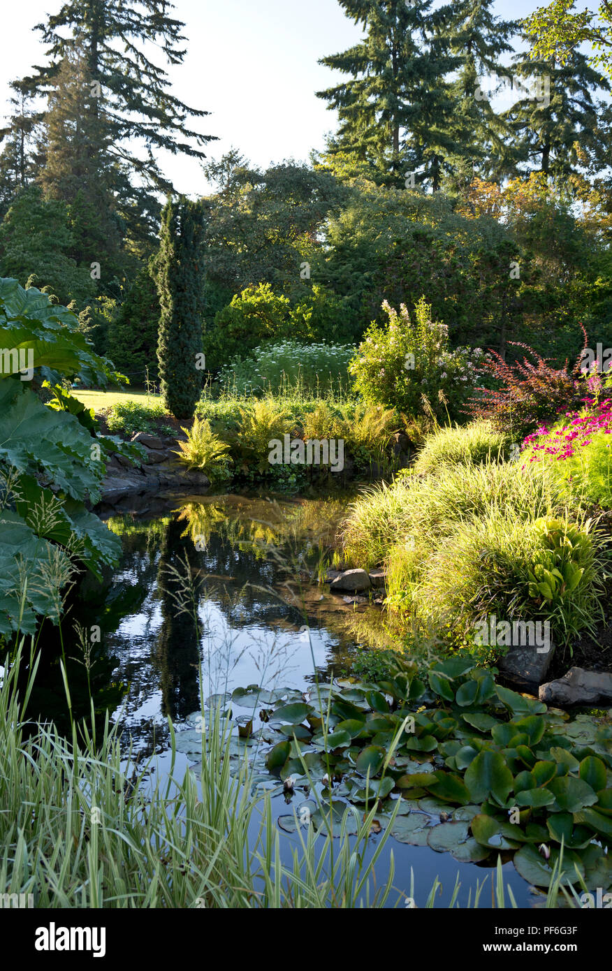 Queen Elizabeth Park di Vancouver, BC Canada. Belle piante e laghetto nei giardini in tarda estate. Foto Stock