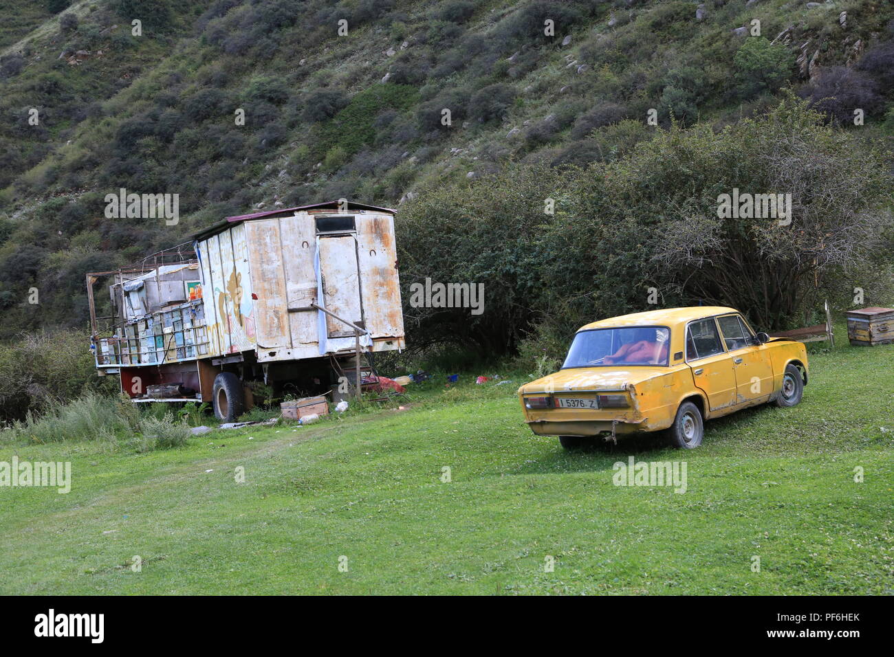 Fattoria api Foto Stock