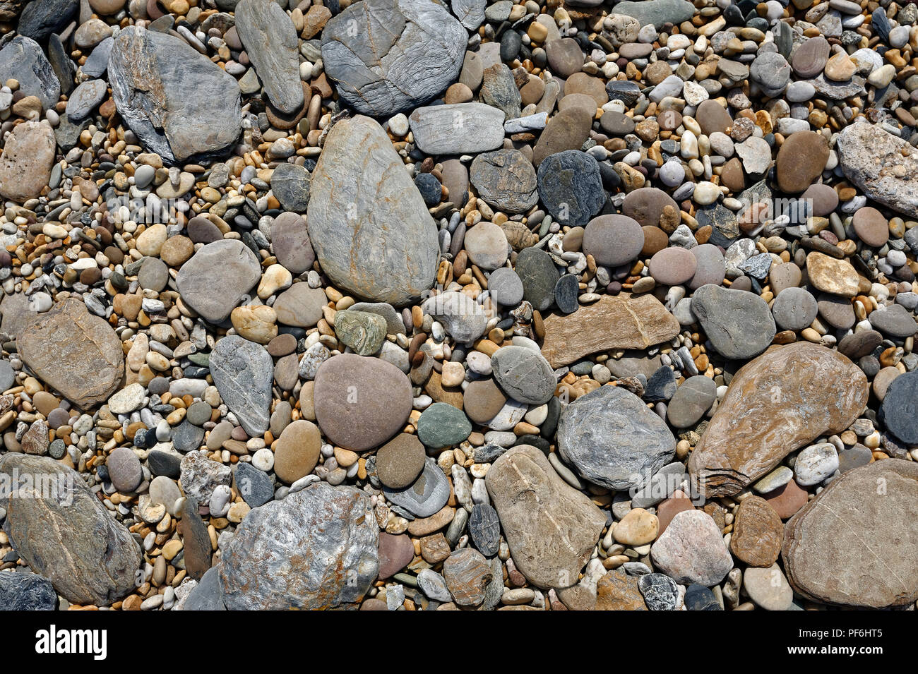 Pietre o ciottoli su un Sud spiaggia di Devon England Regno Unito Foto Stock