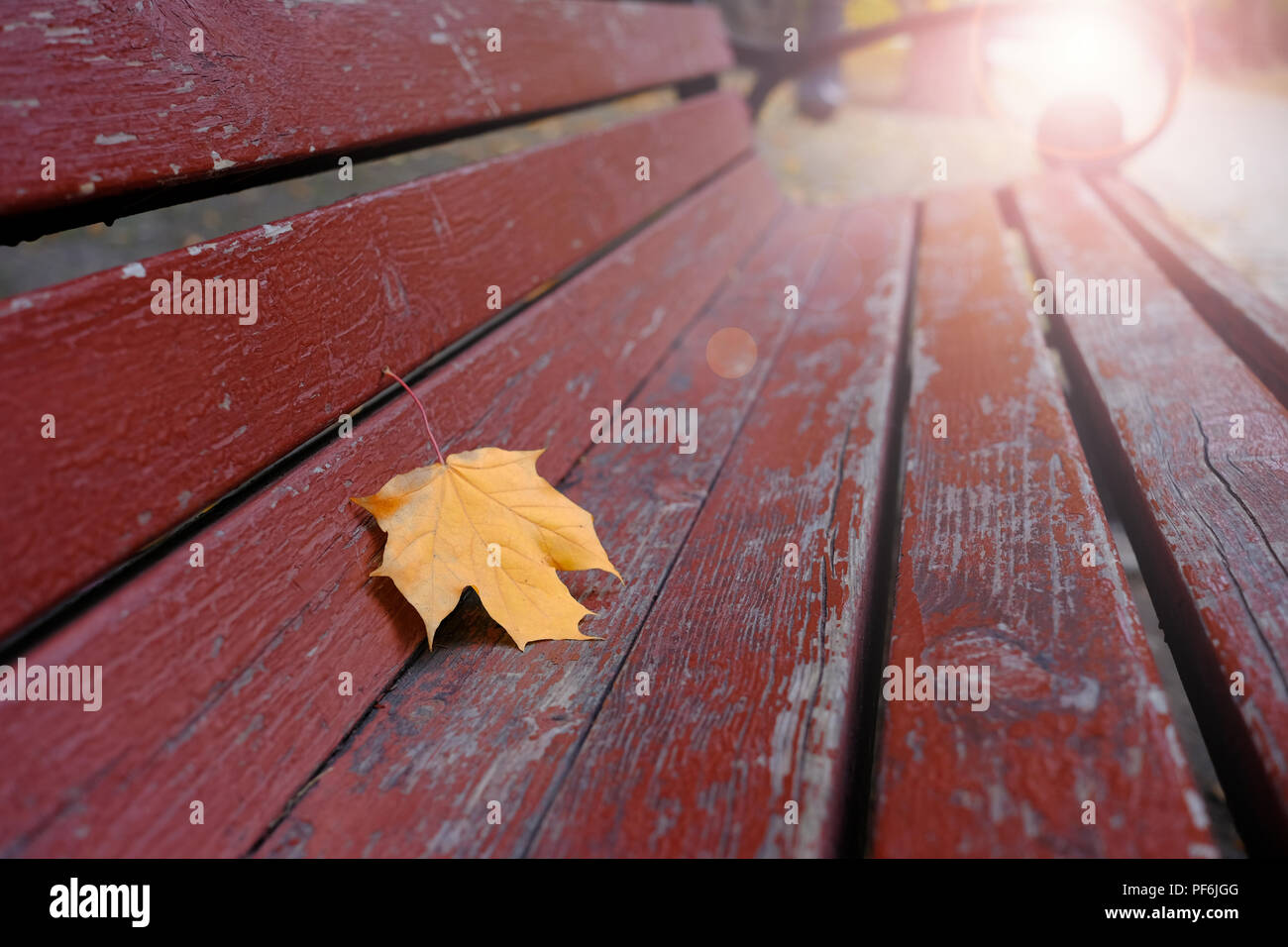 Autumn Leaf sulla panchina nel parco della città Foto Stock
