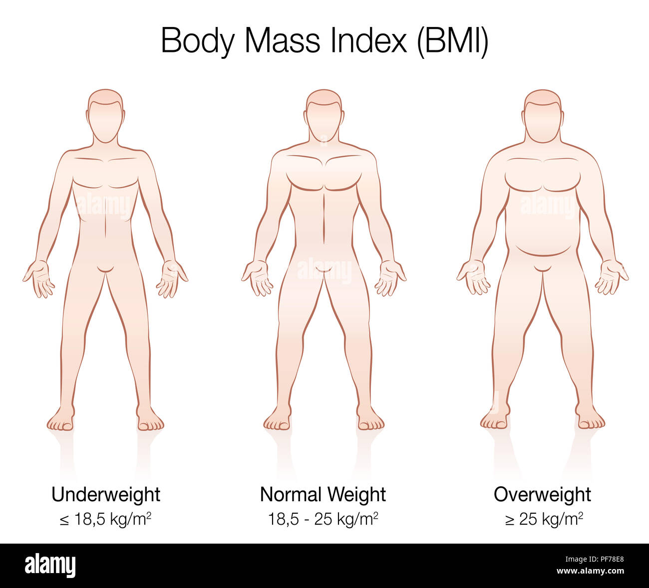 Indice di Massa Corporea BMI. Sottopeso, peso normale e il sovrappeso corpo maschio - illustrazione di tre uomini con differenti anatomia. Foto Stock