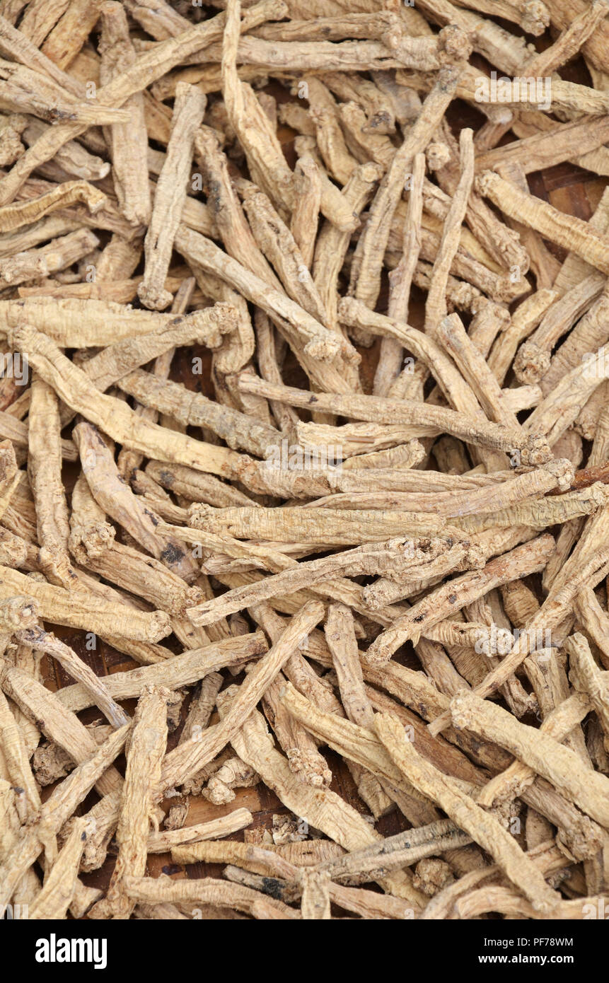 Asciugare le radici di ginseng in Asian market alimentare Foto Stock