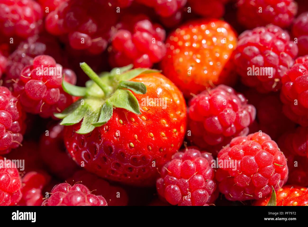 Colorate e luminose estate fragole e lamponi Foto Stock