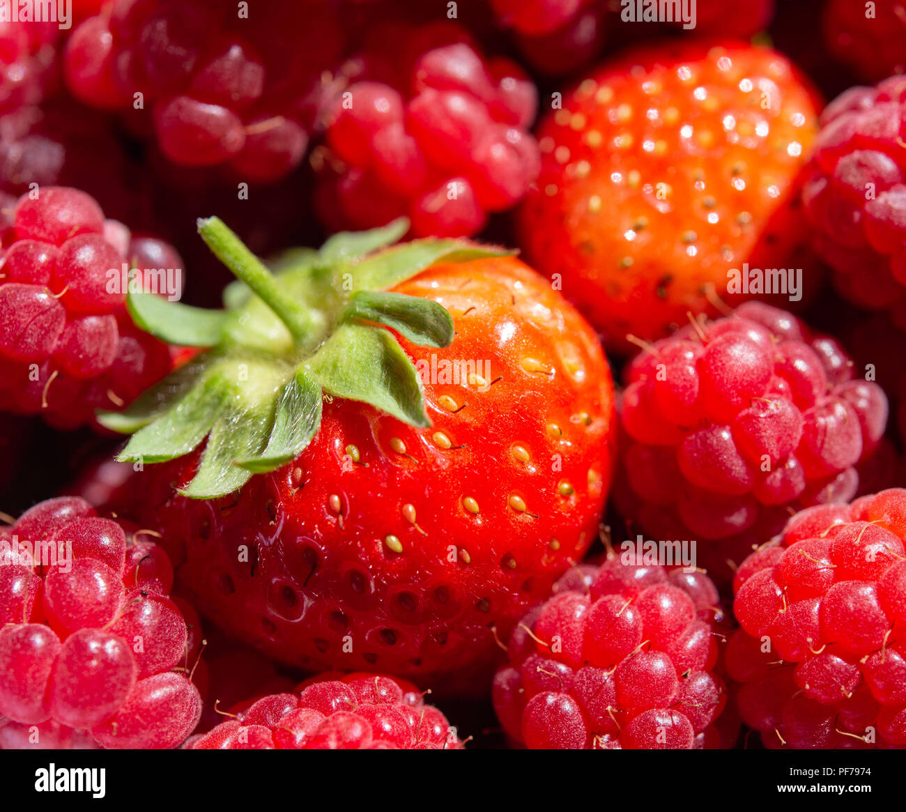 Colorate e luminose estate fragole e lamponi Foto Stock