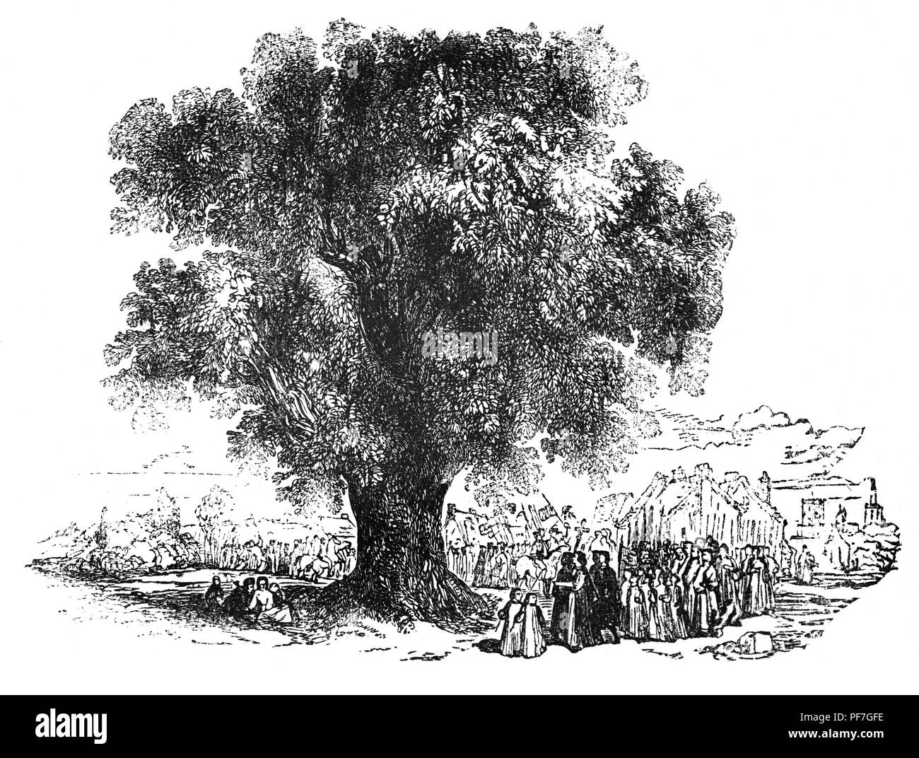 Due o trecento metri dalla casa dove John Shakespeare abitava in Stratford-su-Avon. Warwickshire, Inghilterra, sorgeva un antico Elm boundary-tree. Nel XVI secolo, William Shakespeare potrebbe essere trovato con i suoi amici sotto l'albero, dove il parroco, ufficiale giudiziario, churchwardens e pedagogo dovrebbe raccogliere. Banner onda sarebbe, pali coronato con ghirlande sarebbe portato da vecchi e giovani e un passaggio dalle Scritture sarebbe leggere e un salmo cantato. Conosciuta anche come "l'Elme al fine Dovehouse-Close' fino a quando non è stato abbattuto, per ordine della Corporation, il 11 novembre 1847. Foto Stock