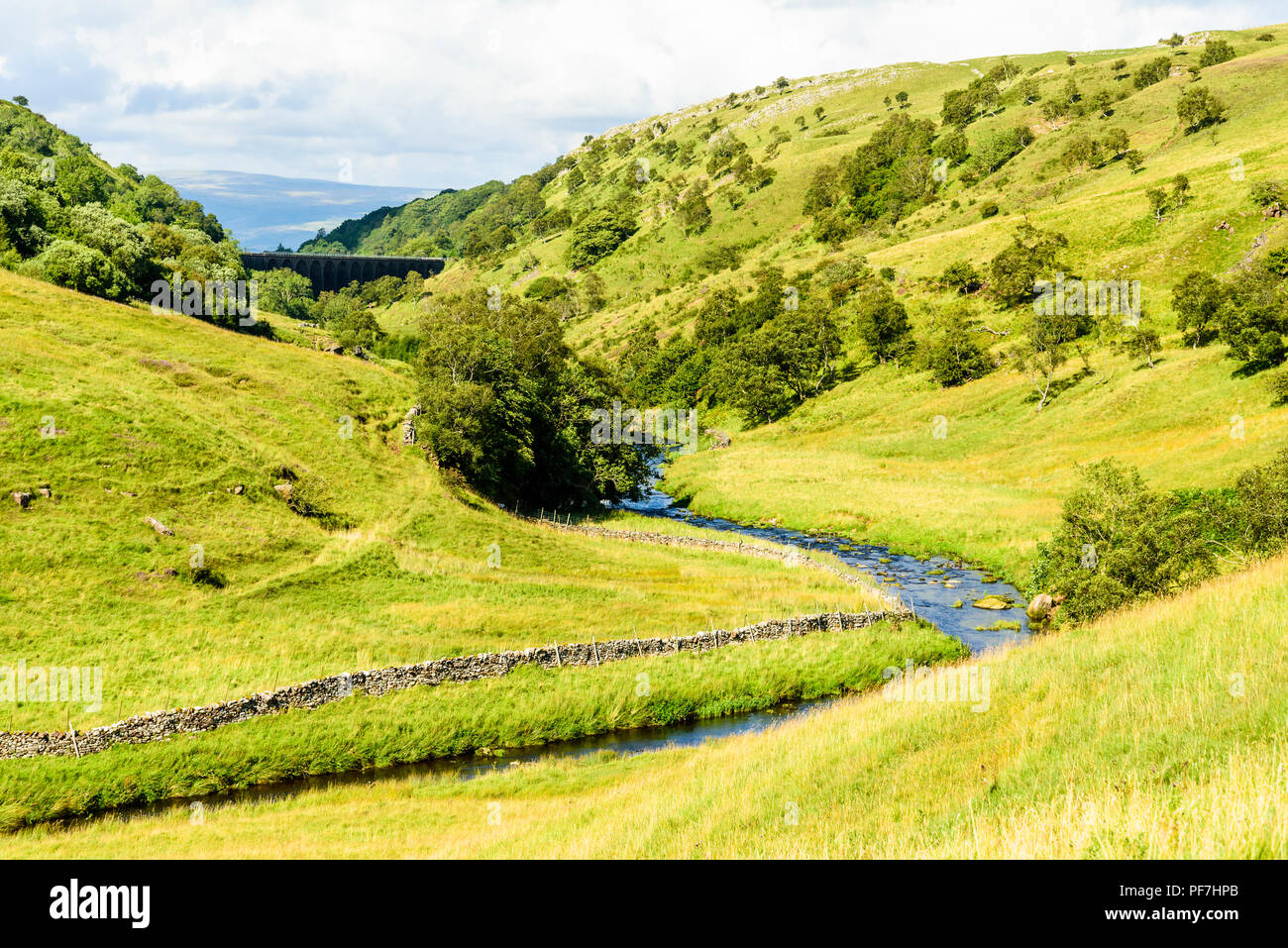 Smardale Gill, una riserva naturale vicino a Kirkby Stephen Cumbria, con uno scorcio della Croce cadde in distanza. Foto Stock