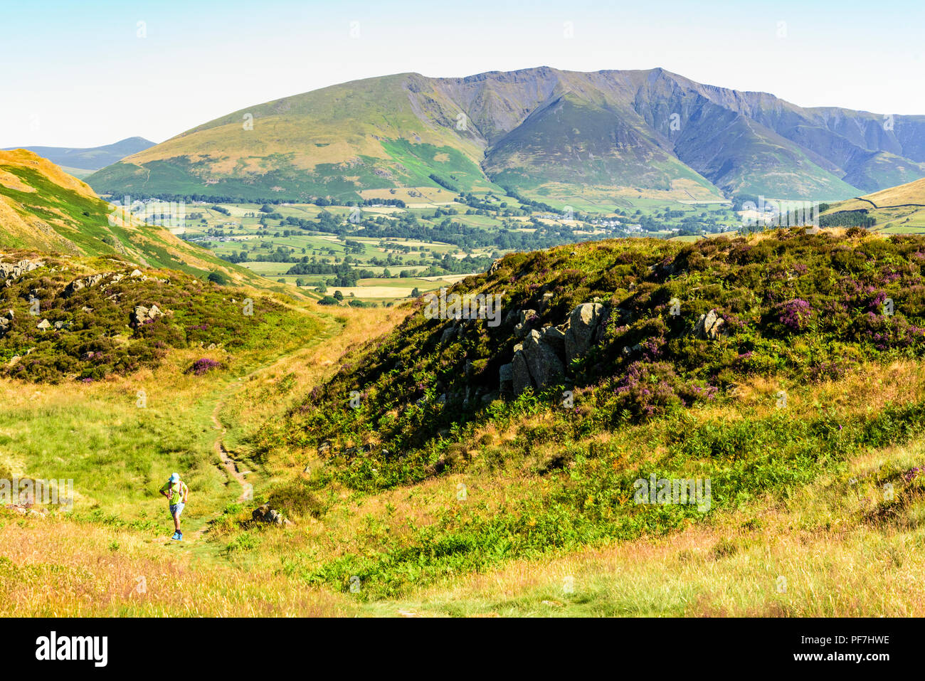 Fellrunner su Alta Rigg nel distretto del lago, con Blencathra dietro. Foto Stock