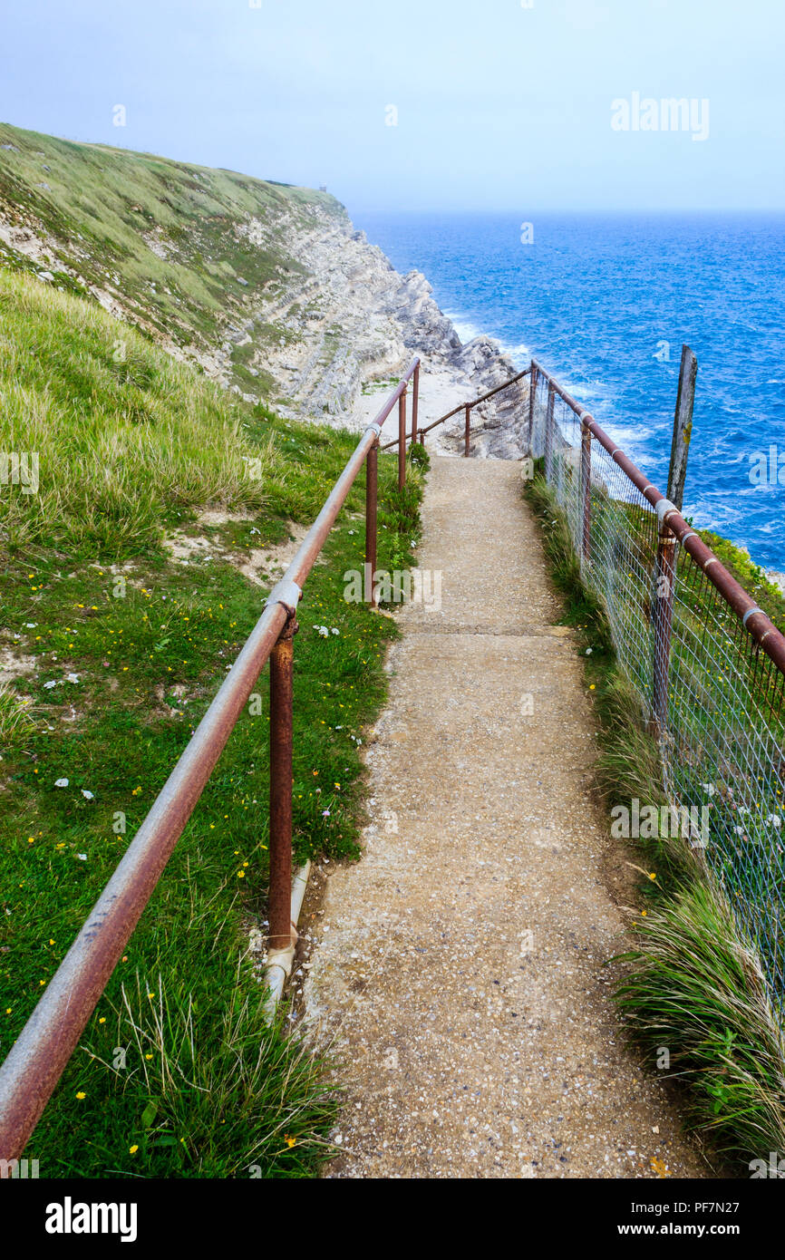 La scoscesa scogliera passi laterali alla foresta fossile, i resti di una foresta sommersa dall'era giurassica, Dorset, England, Regno Unito Foto Stock