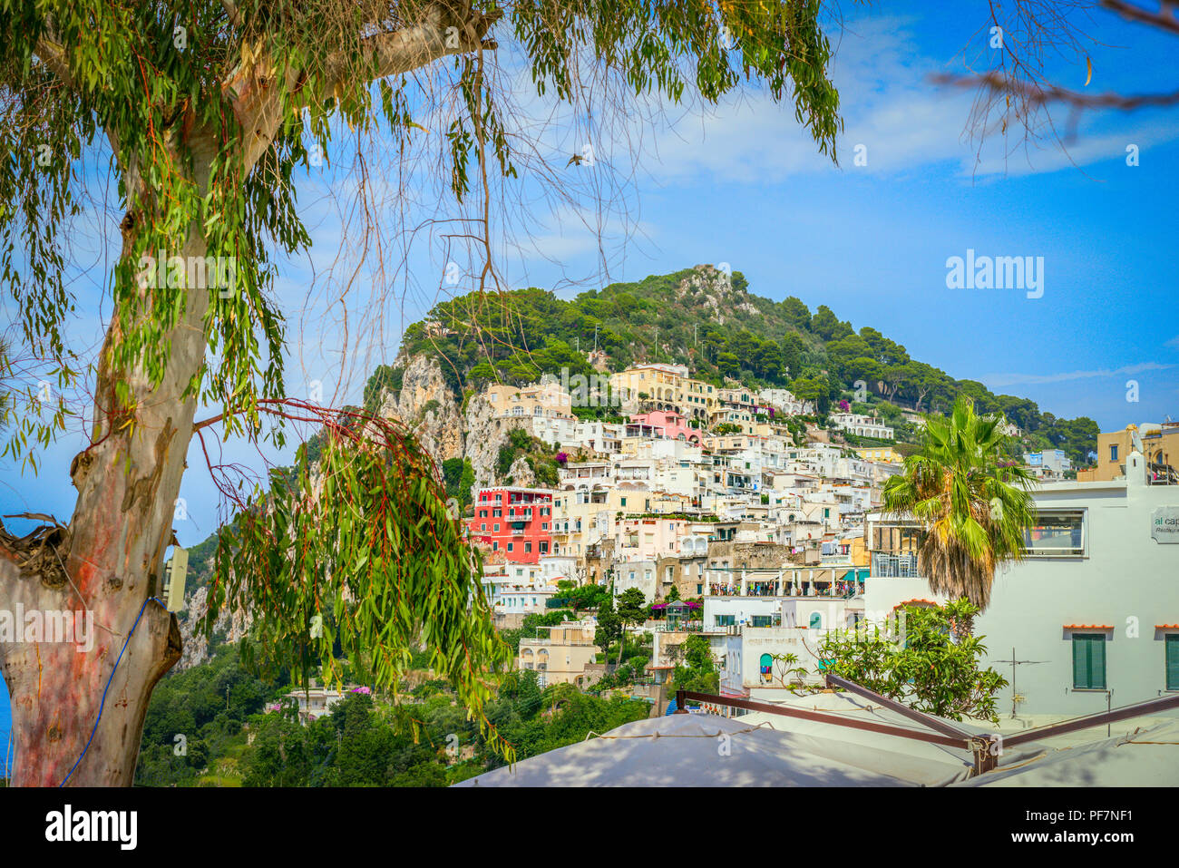 La città di Capri, costruito sul lato della scogliera sull' isola di Capri Foto Stock